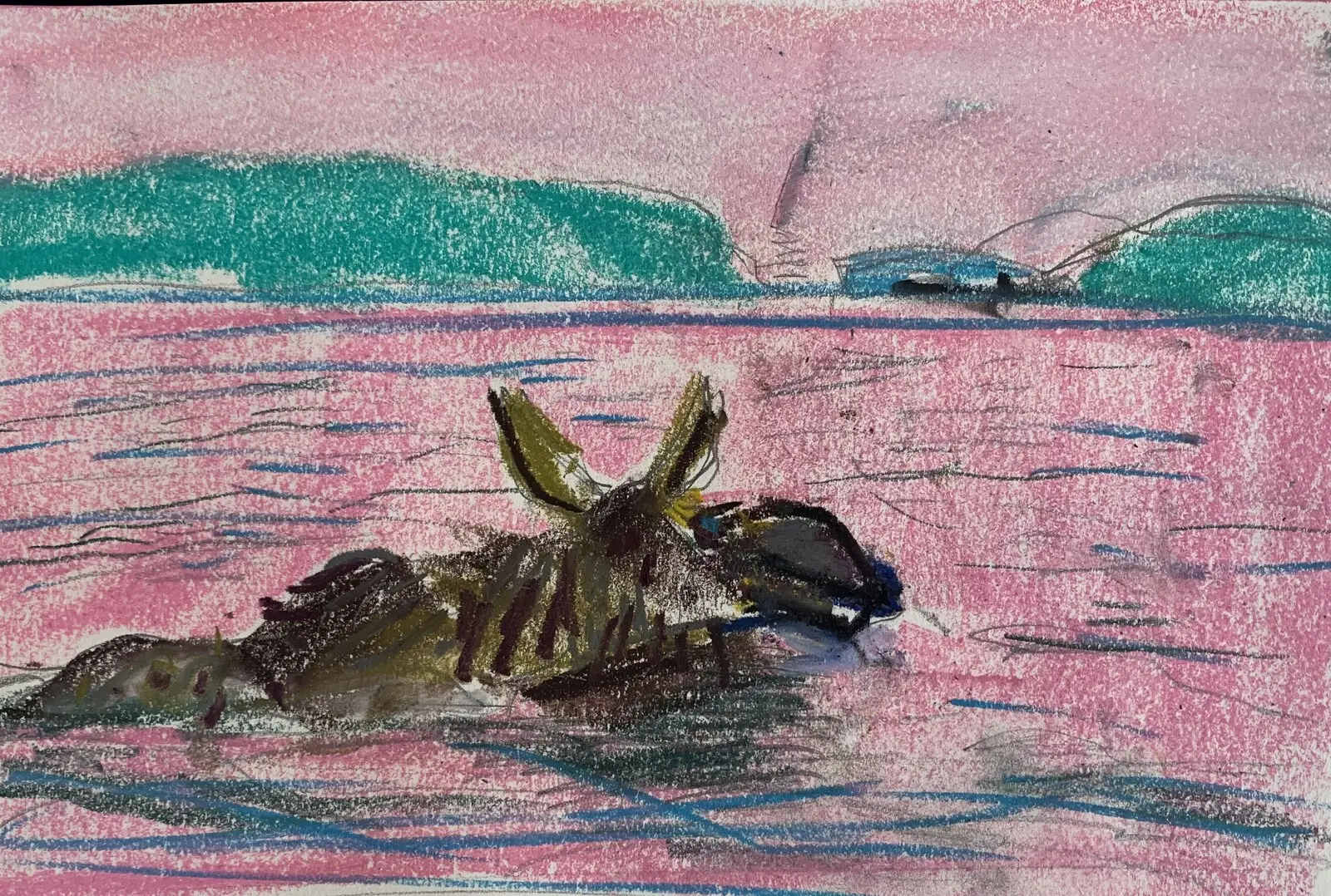 Älg simmar i solnedgång av Ingrid Stenbeck