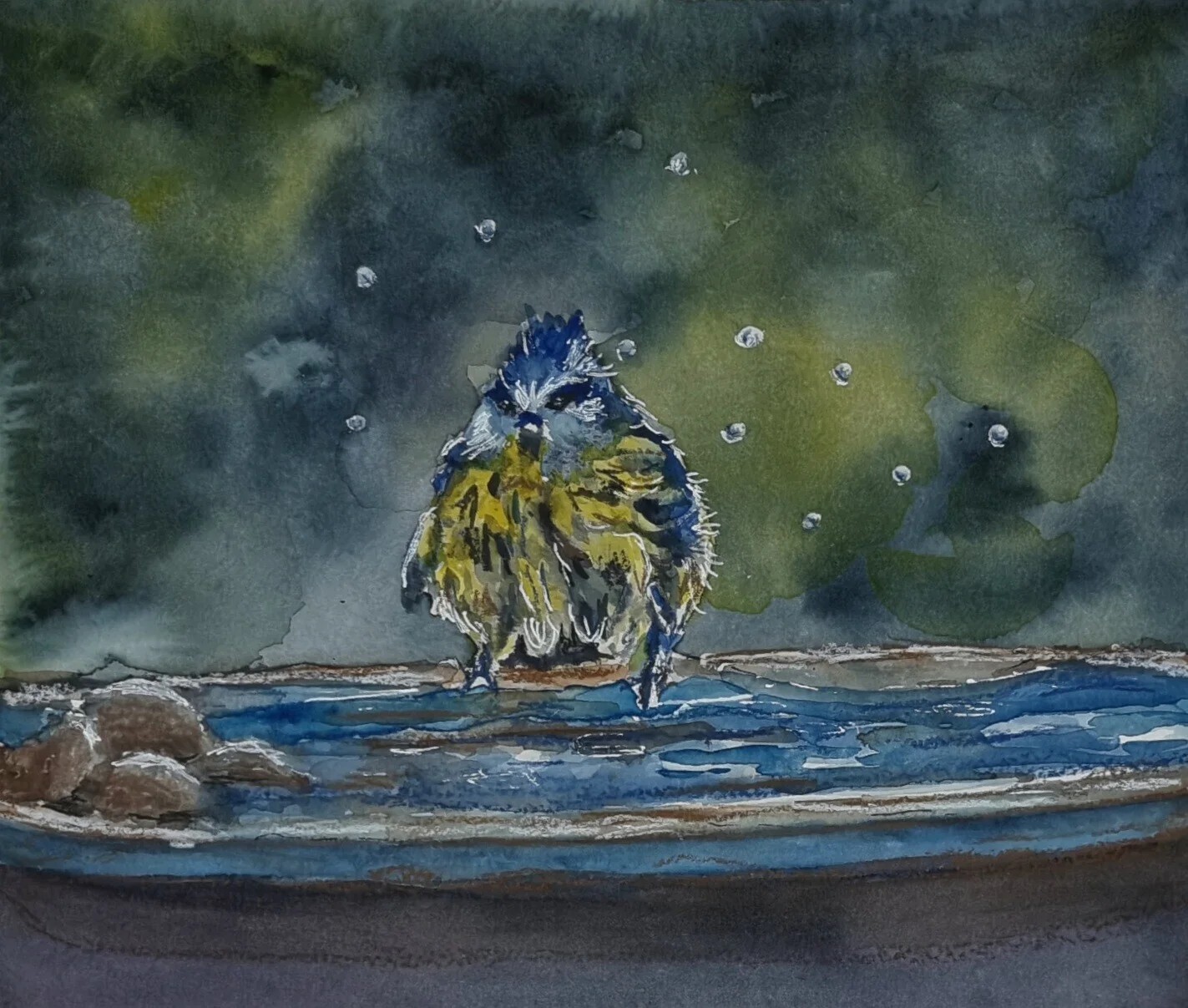 Akvarell Splish splash I was taking a bath.. av Åsa Edlund