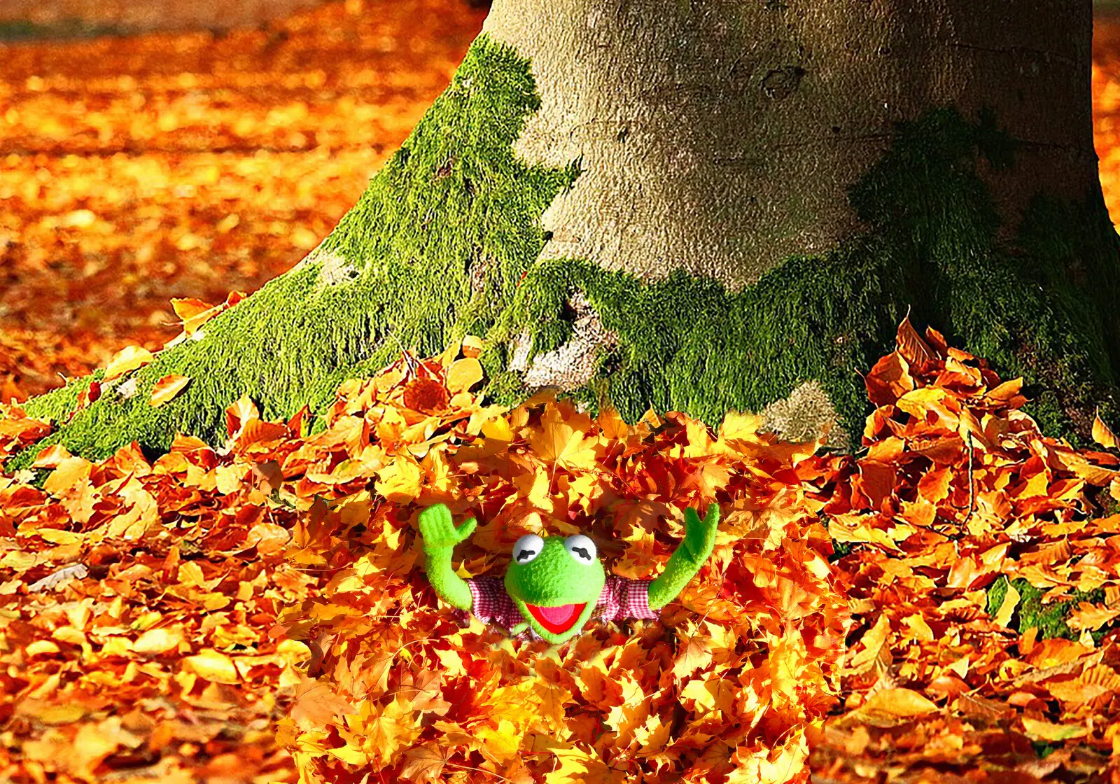 Kermit taking an golden autumn bath av Jörgen Thornberg