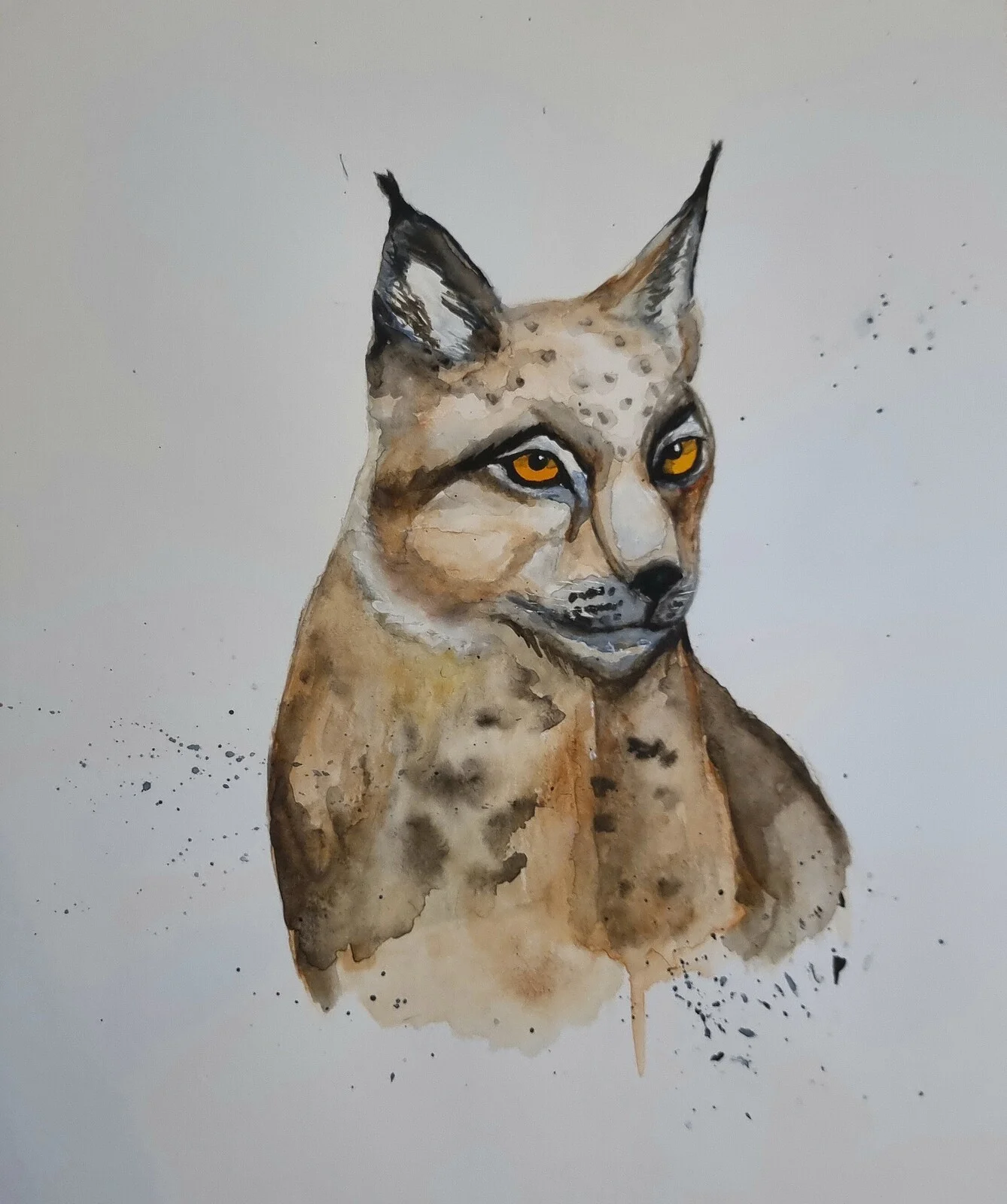 Akvarell Lodjur av Kiba Gustafsson