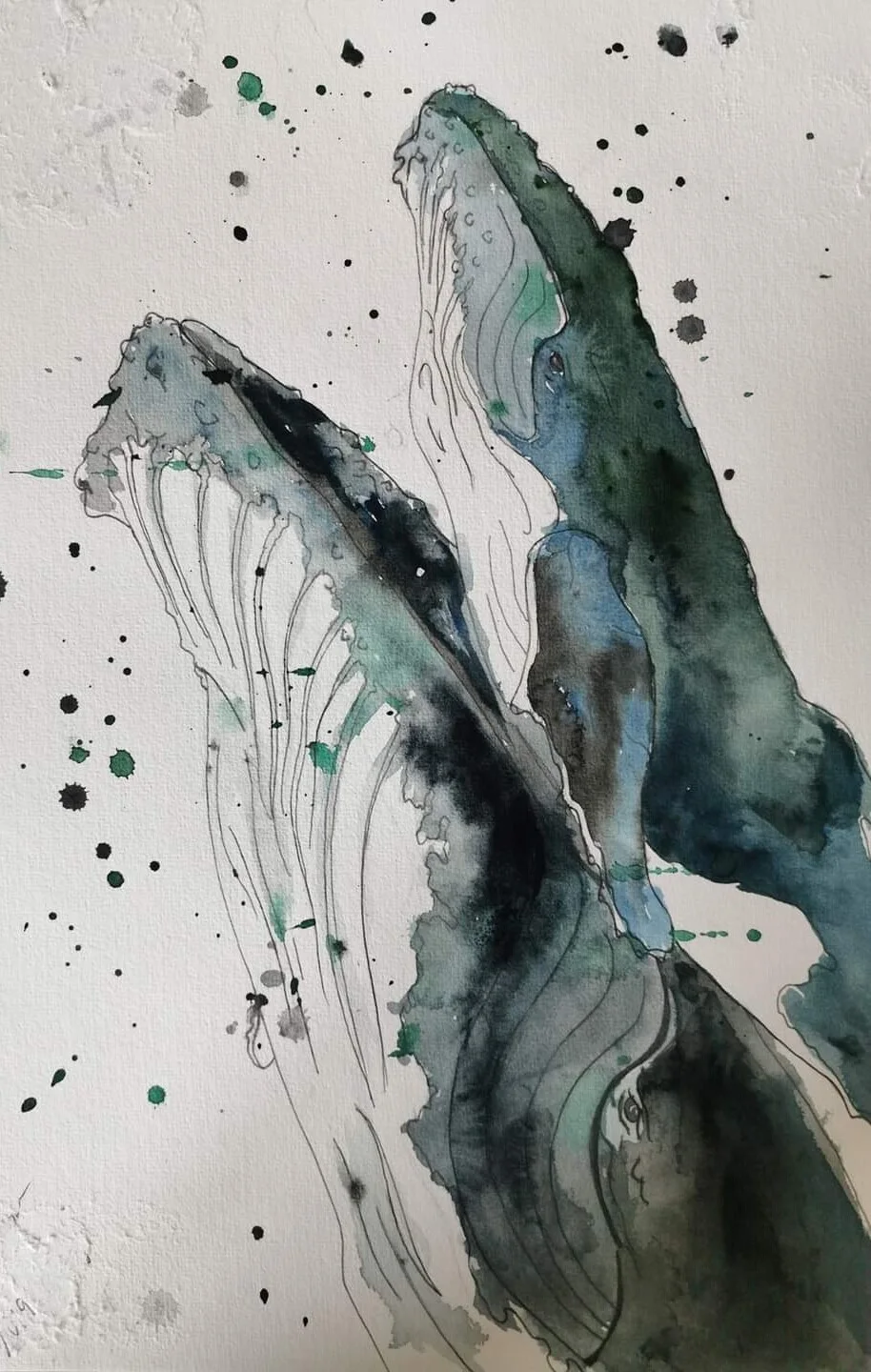 Akvarell Knölvalarna av Sandra Bengtsson