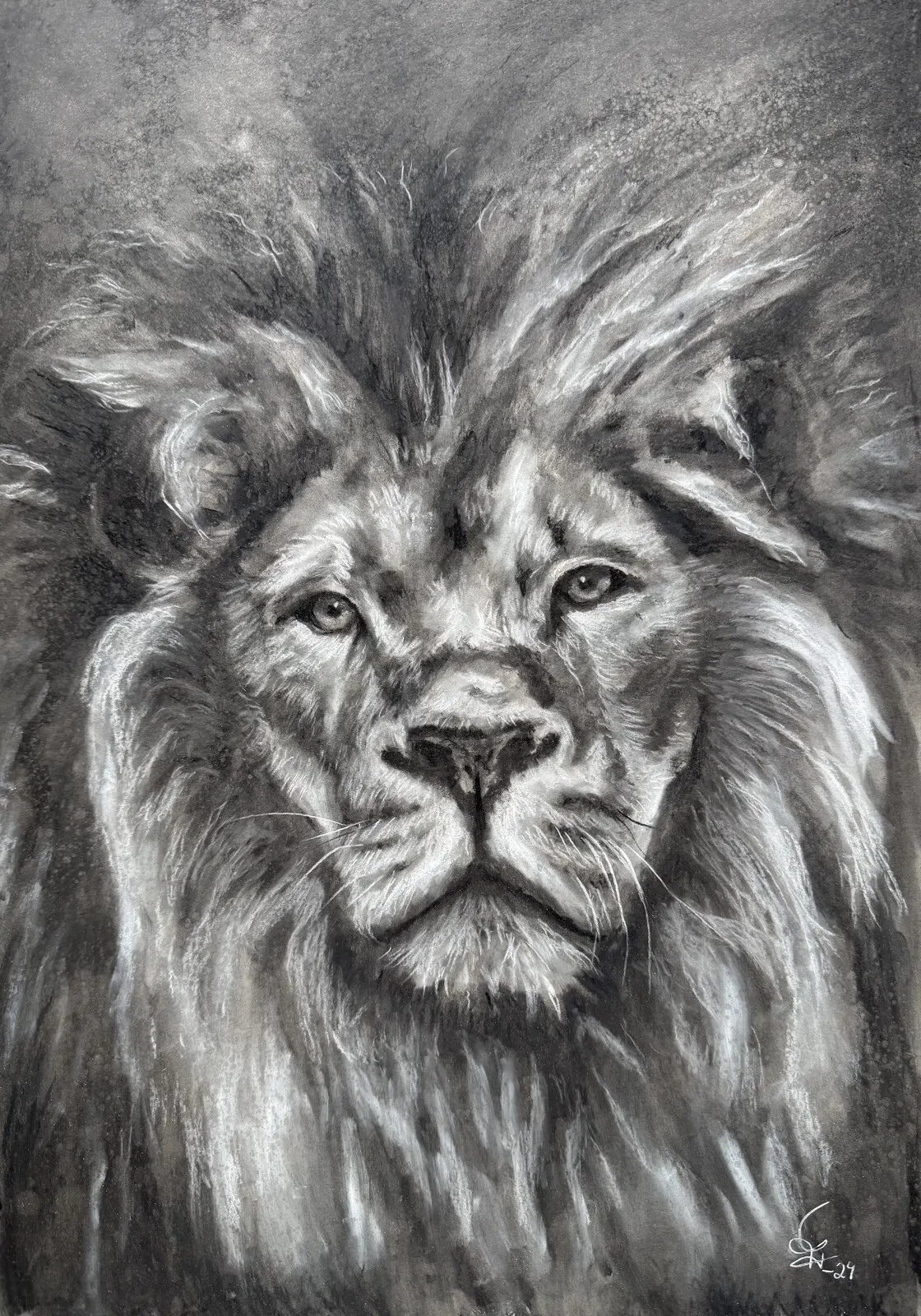 Lion av Tuija Tudor