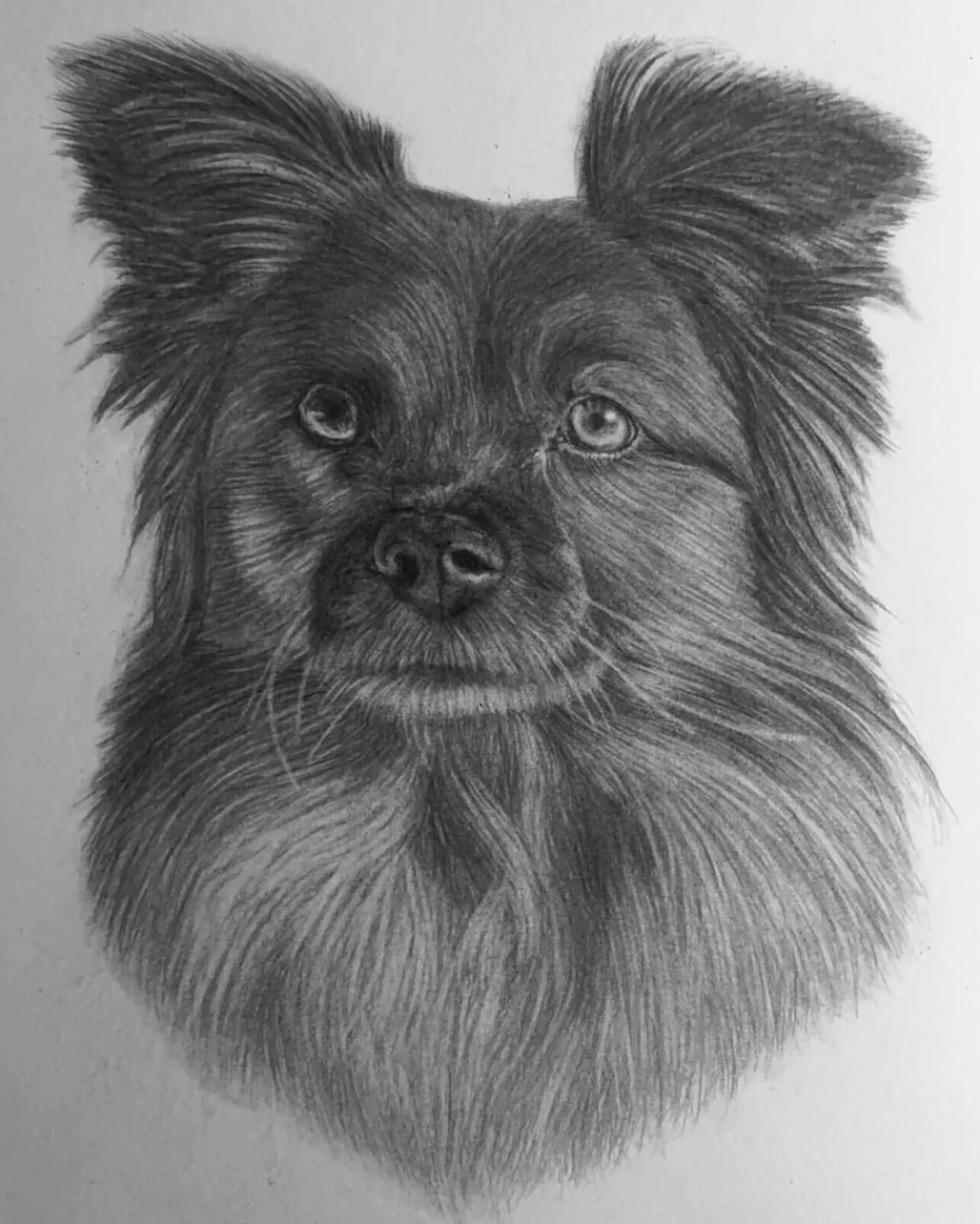 Hugo av Caroline Börjesson