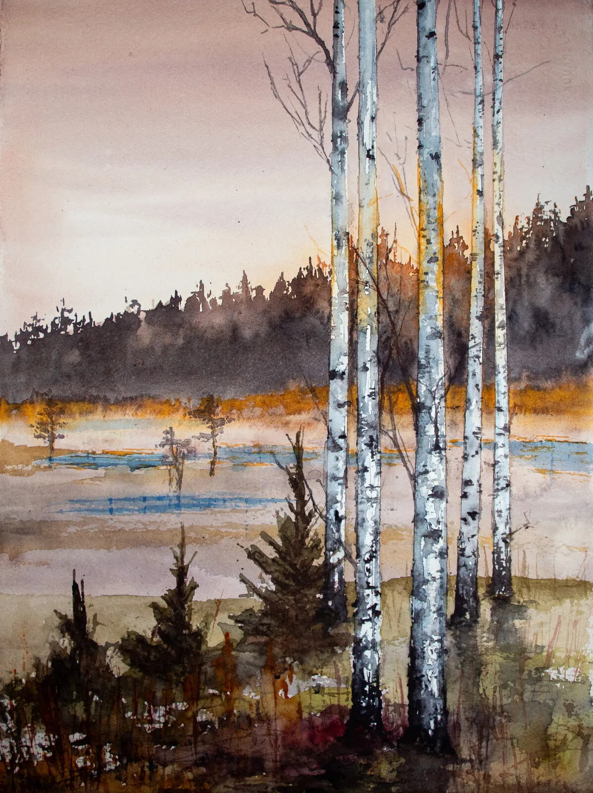 Akvarell Höstbjörkar av Mikael Weddfelt