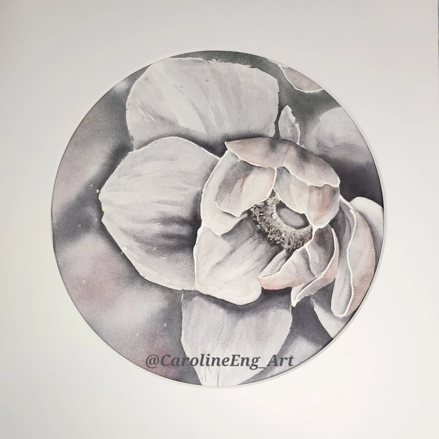 Akvarell Anemone Apricot (Fine art print) av Caroline Eng