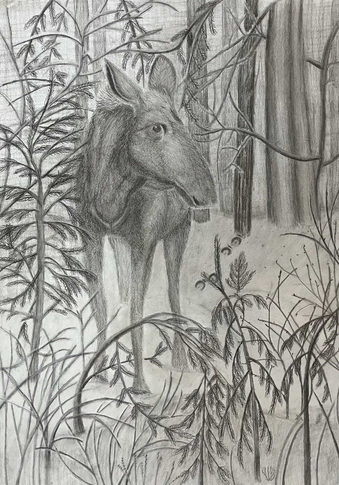 Skog av Jeanette Svedjeholm