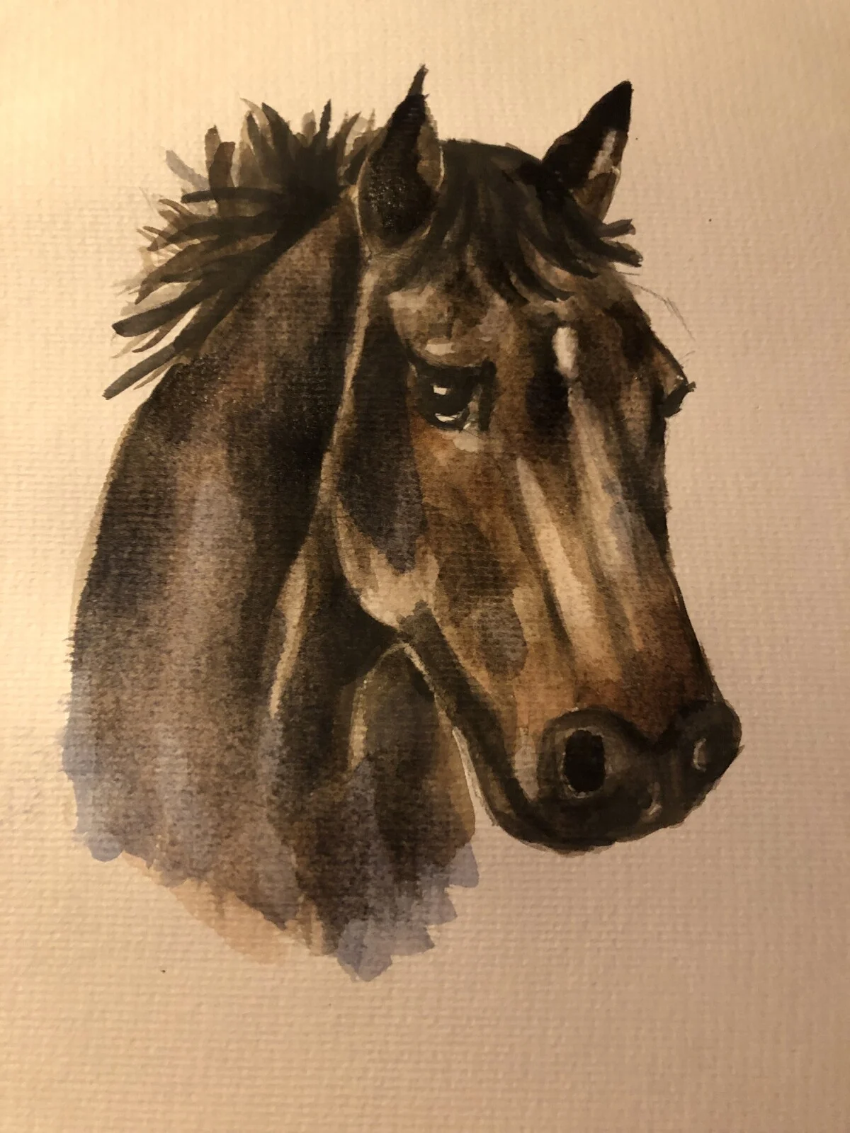 Akvarell Häst av Susanne Kovacs