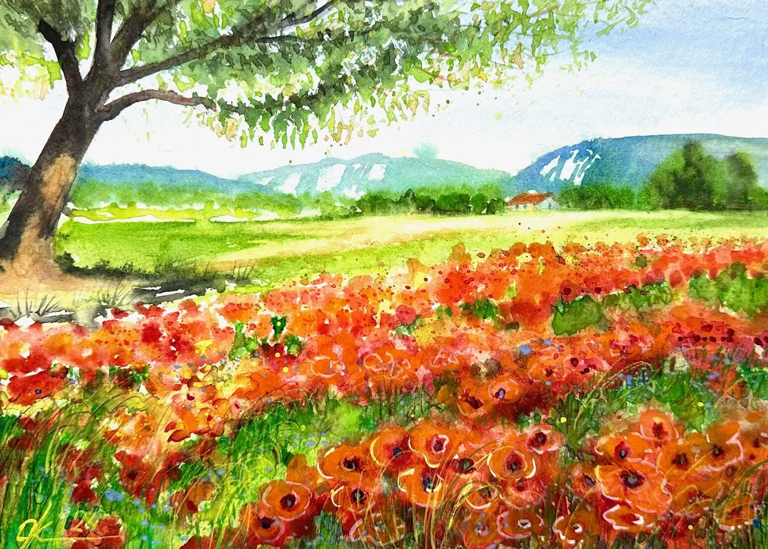 Akvarell Vallmofält i Provence av Olga Kharyakova