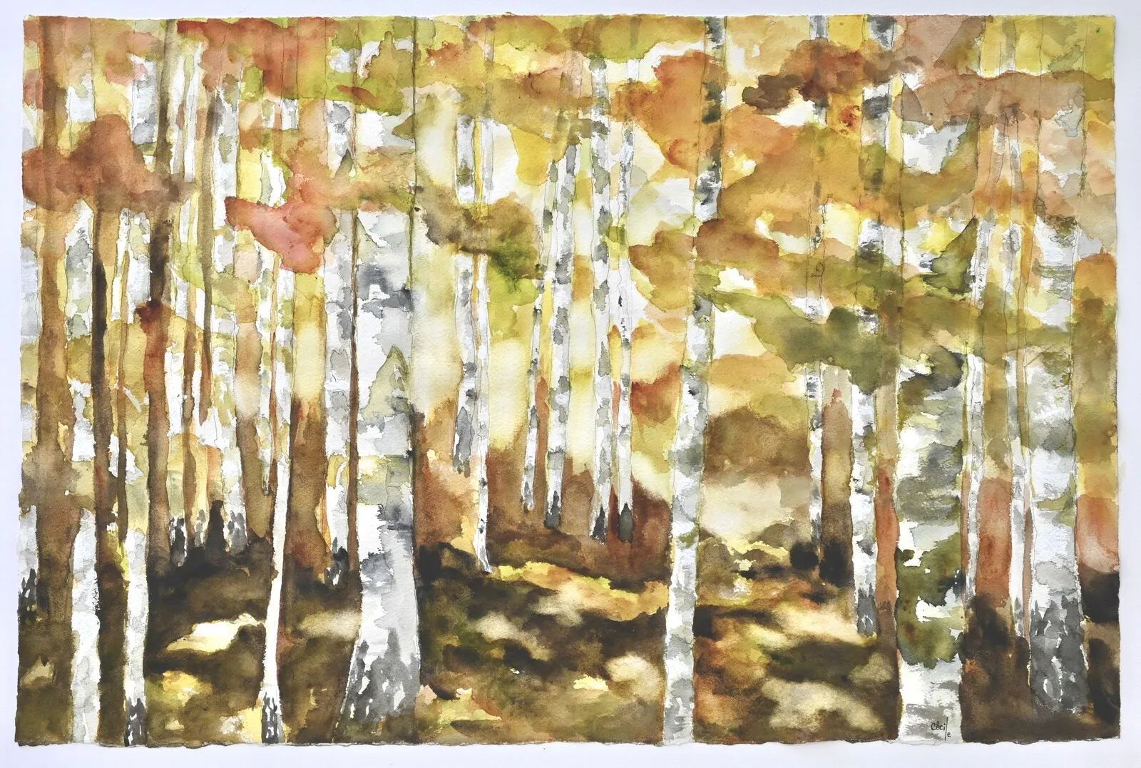 Akvarell I Björkskogen av Cécile Hansson