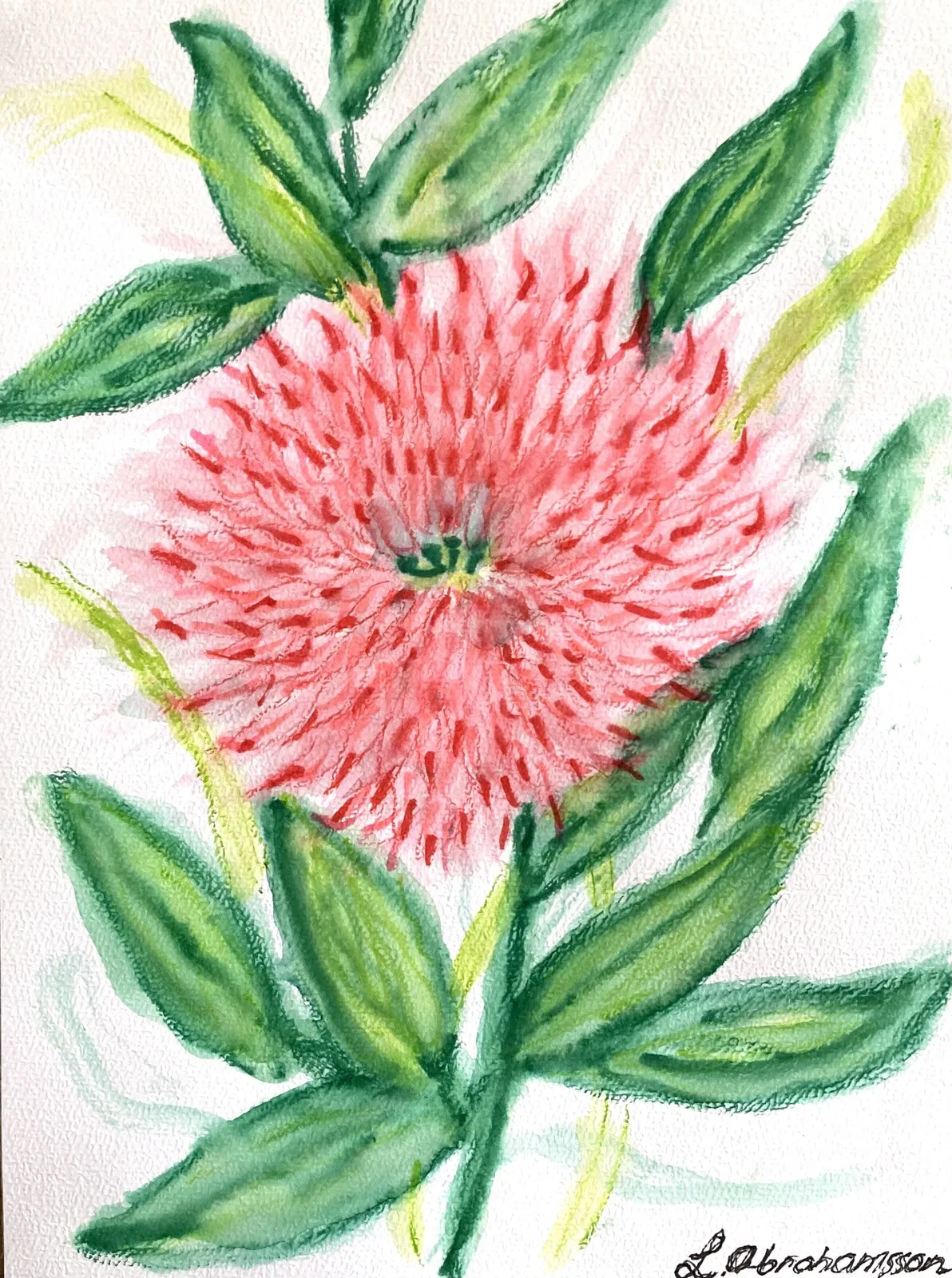Akvarell Dahlia av Linda Abrahamsson La Arts Sweden