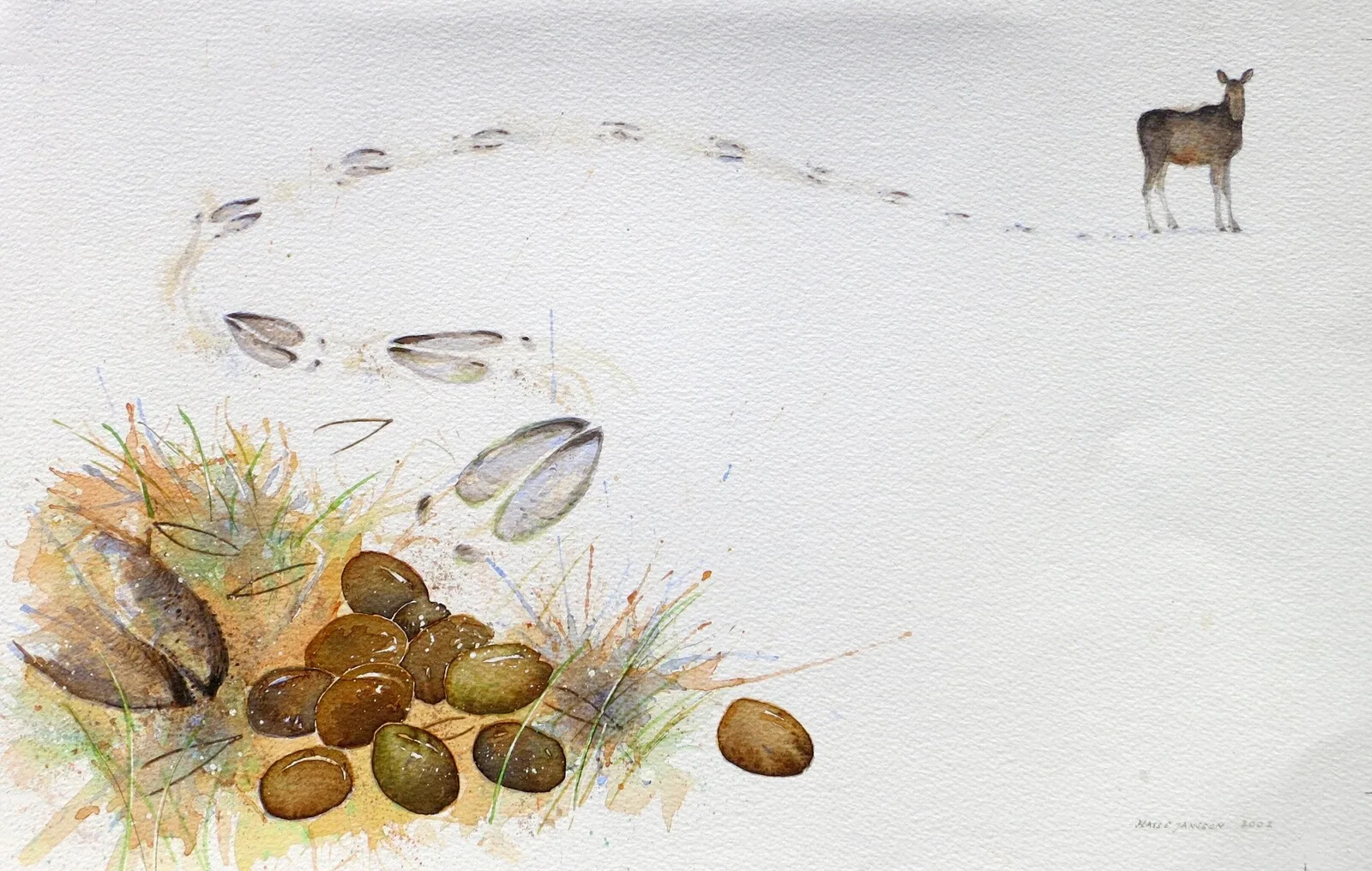 Akvarell Älgspår av Hasse Jansson