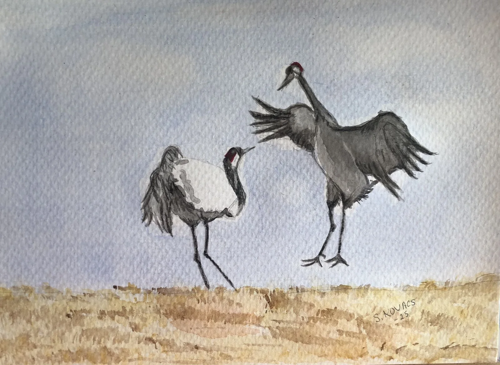 Akvarell Trandans av Susanne Kovacs