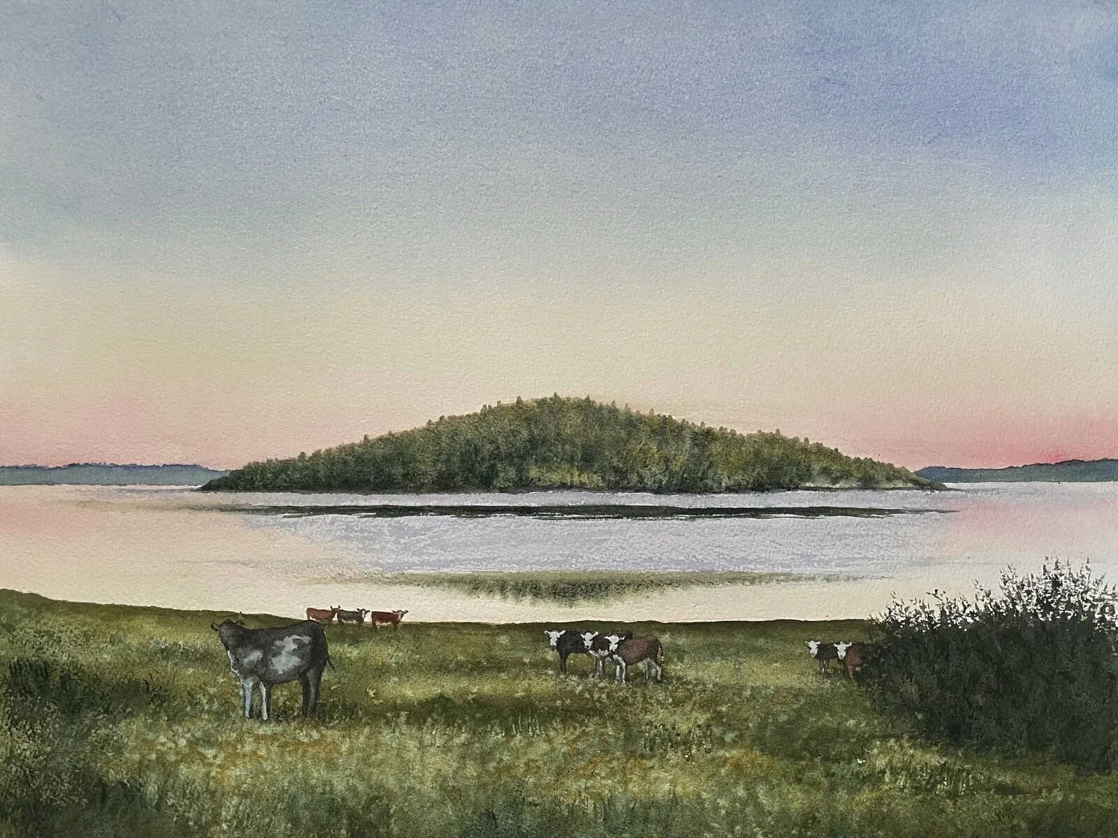 Akvarell Kor i skymningen av Jeanette Malmberg