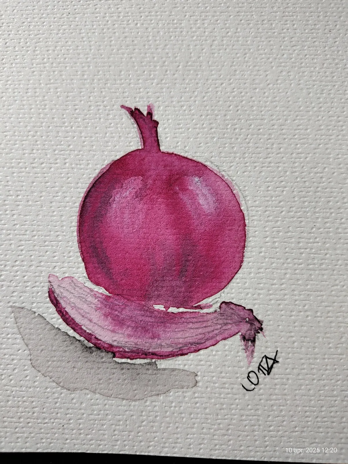 Akvarell Rödlök av Liselotte Bengtsdotter