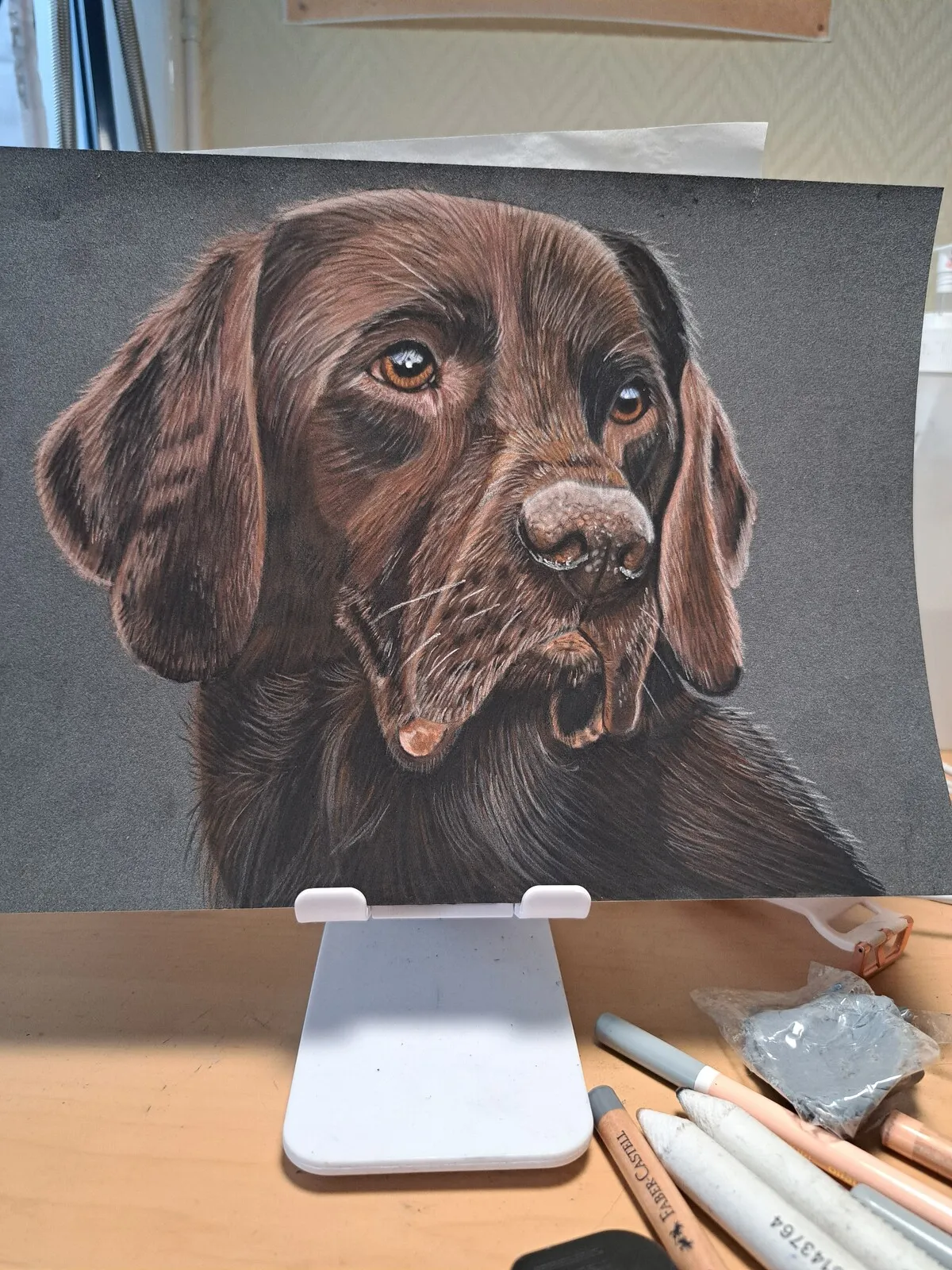 Labrador av Luna Andersson