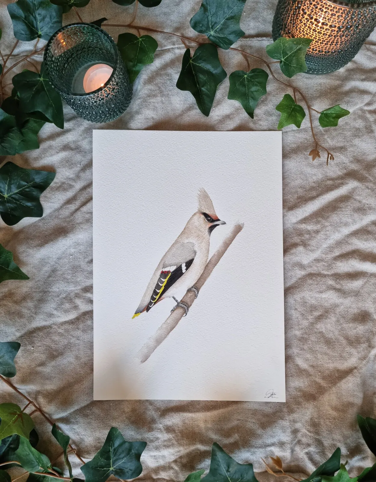 Akvarell Sidensvansen av Kajsa Olson - Art By Kajjan