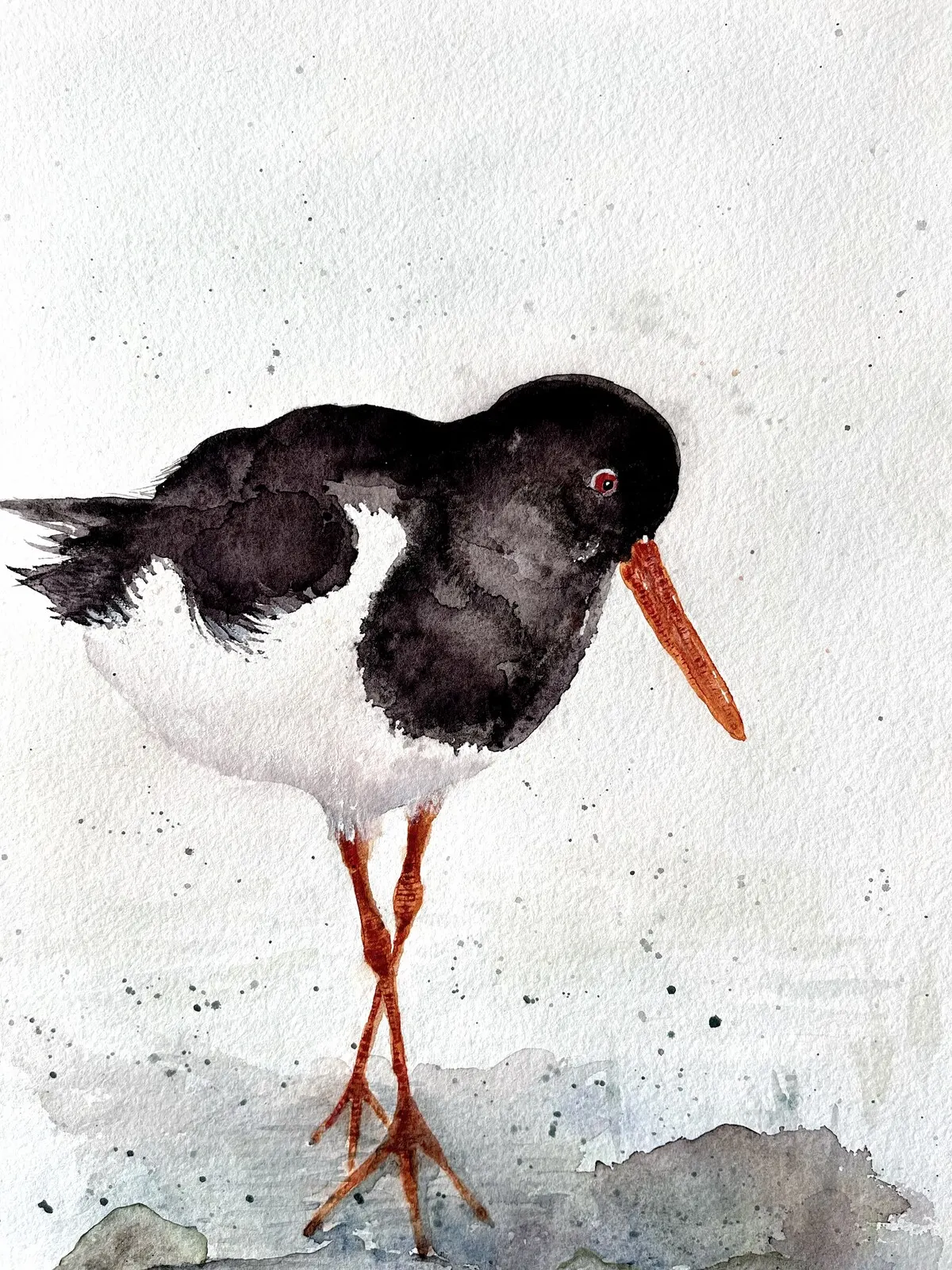 Akvarell Strandskata av Monica Berglin