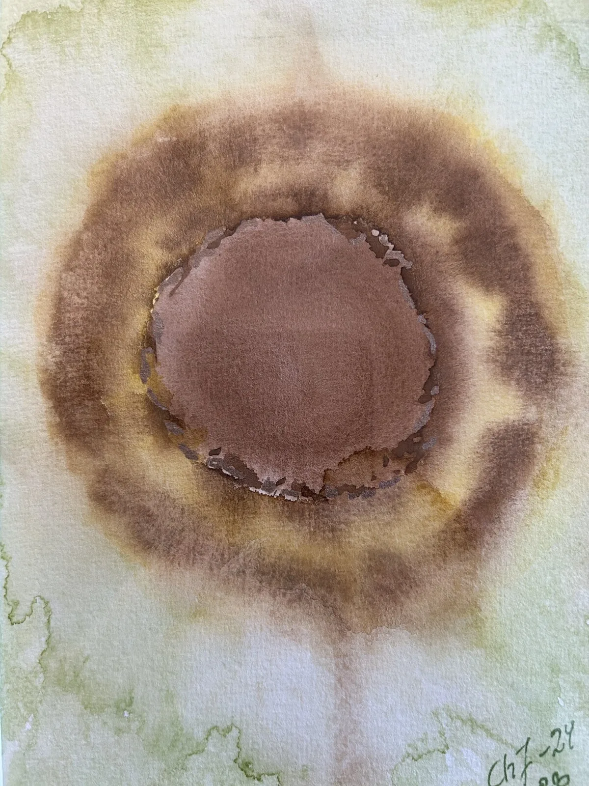 Akvarell Solros i blom av Christina Jonsson