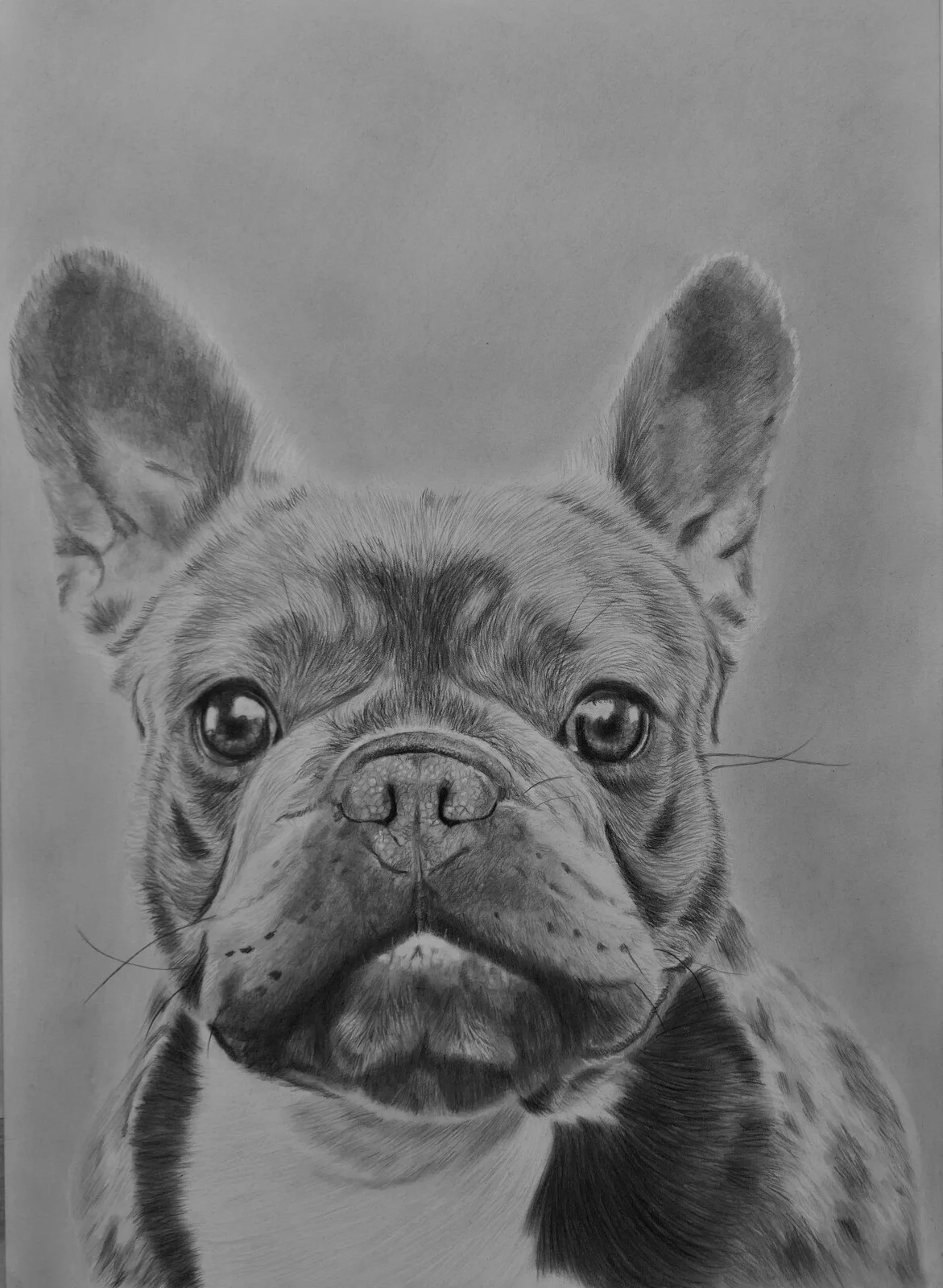 Ett hjärta av lojalitet av Gali Blyertskonst