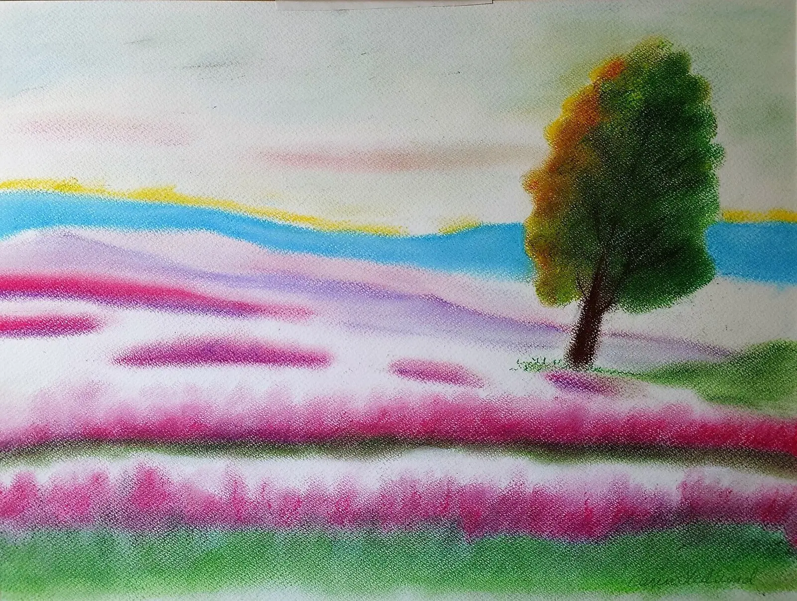 Rallarrosor av Carin Hedlund