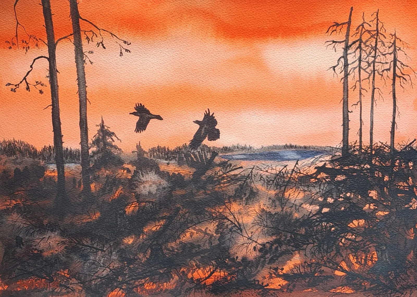 Akvarell Ravenflight from deforestation/Korpflykt från grotbeklätt kalhygge av Åsa Wiksten