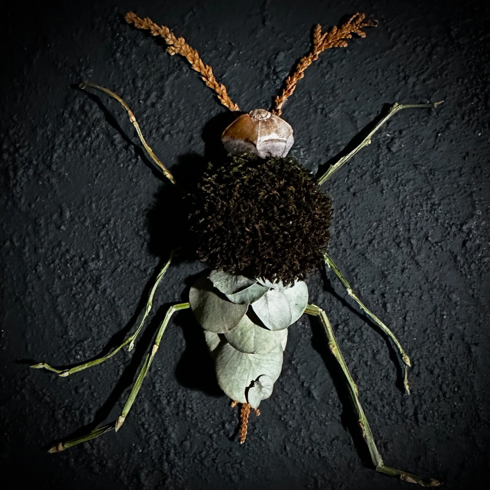Little Critters / Småkryp XX av Carmen Paas