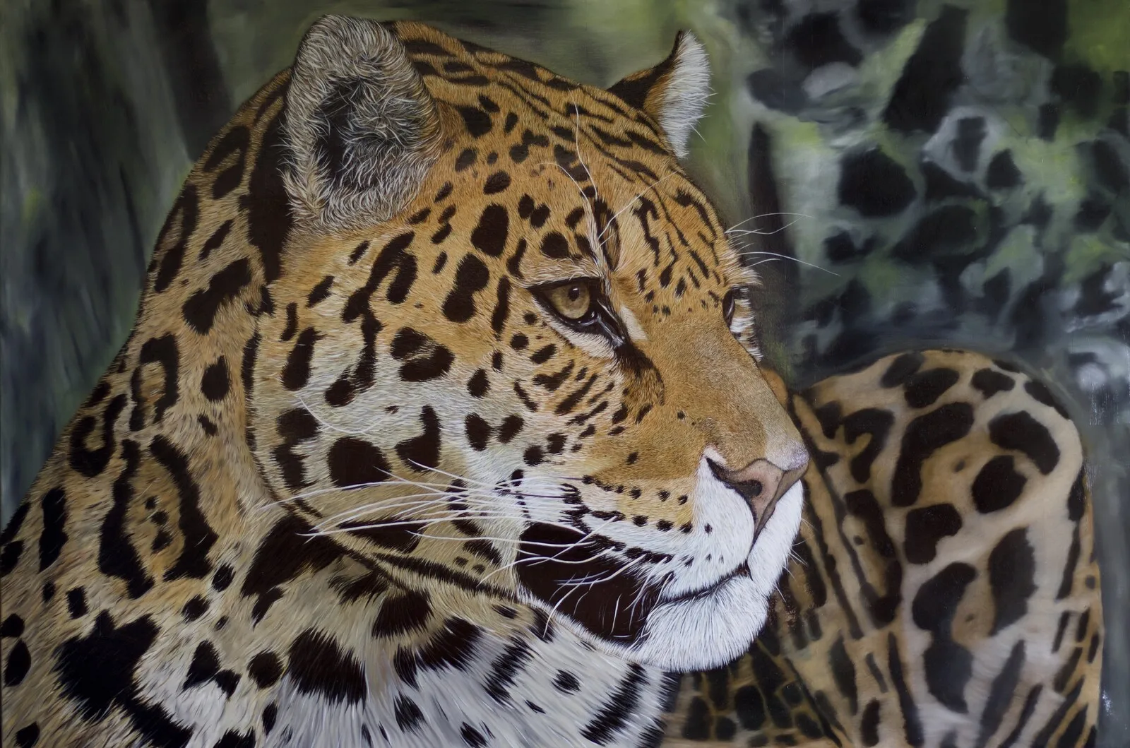 Oljemålning Jaguar gaze av Sebastian Pautazzo