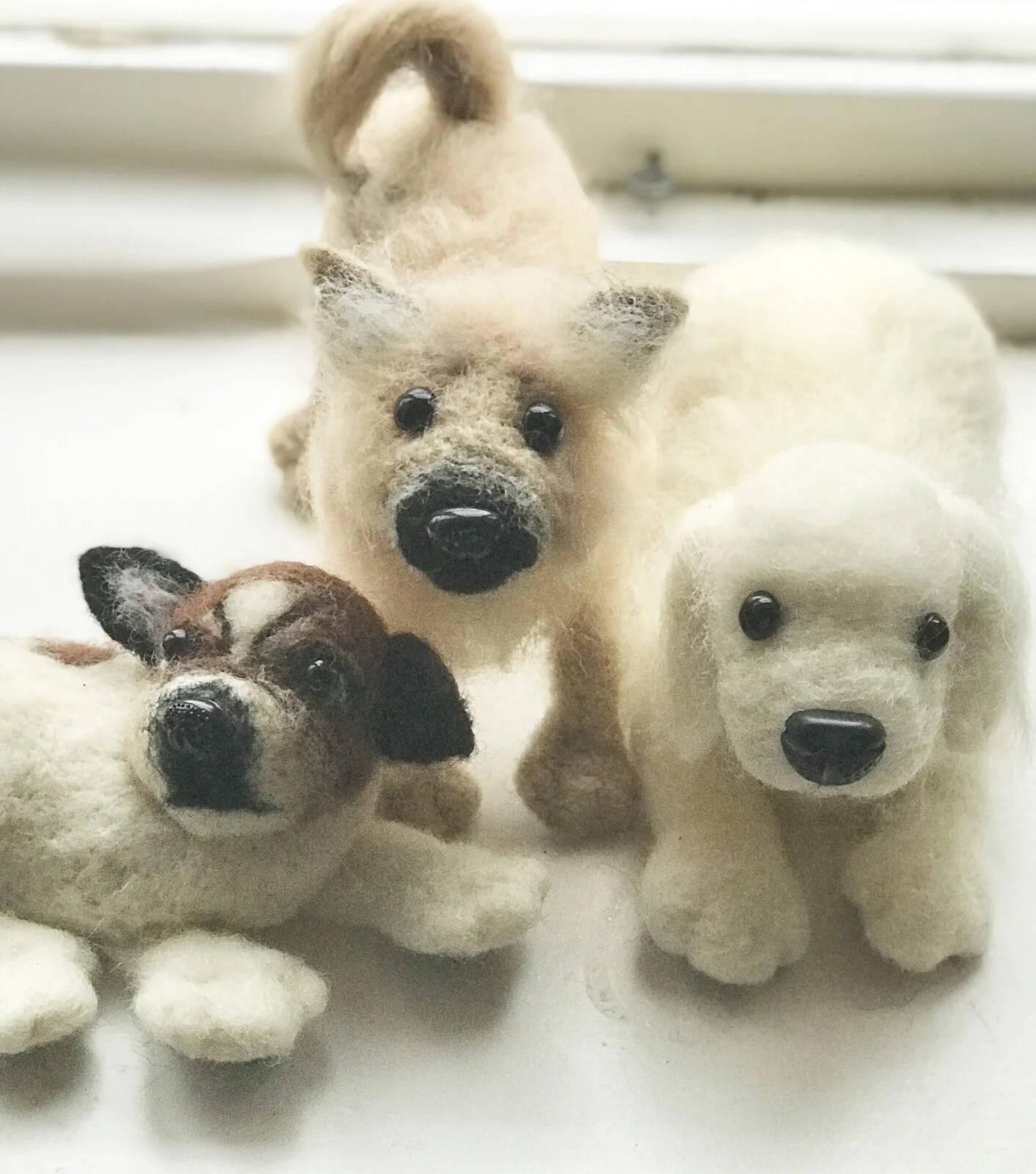 Porträtt hundar av Maria Varga