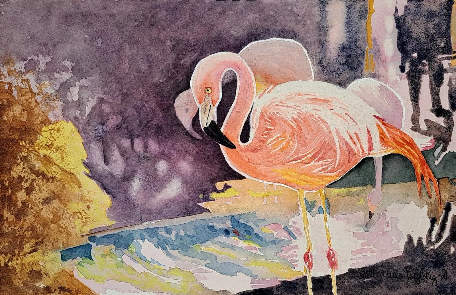 Akvarell Flamingos av Catharina Engberg