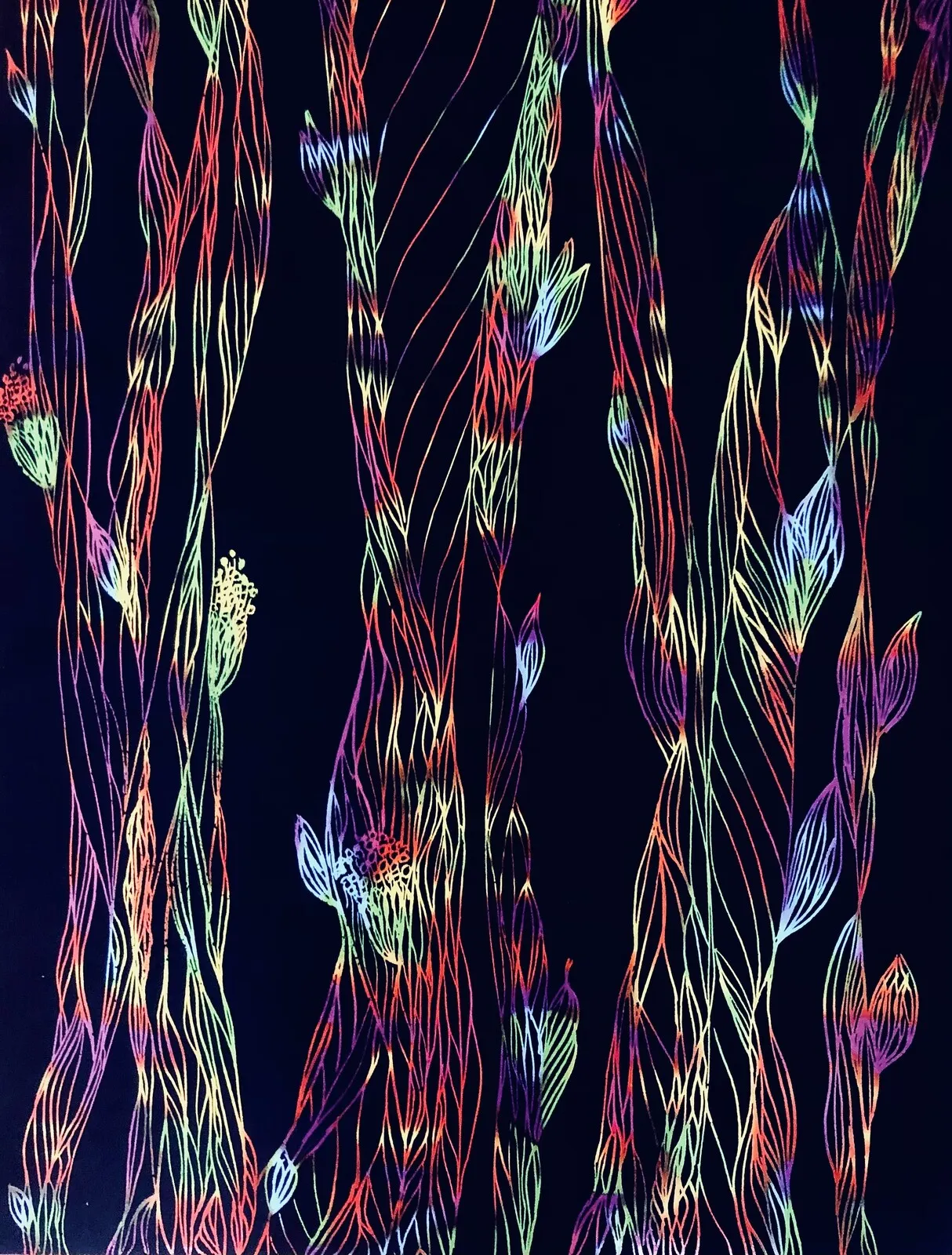 Saga av Anastasiya Wonder