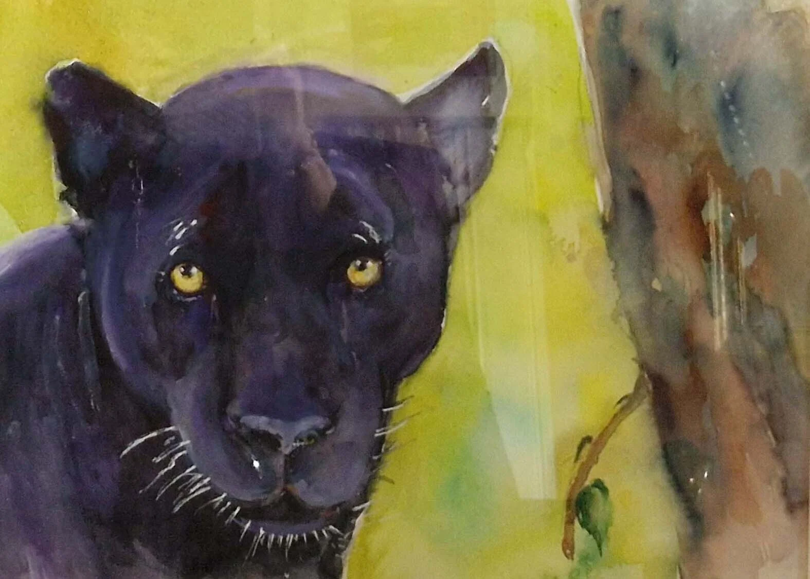 Akvarell Puma av Marianne Pagler