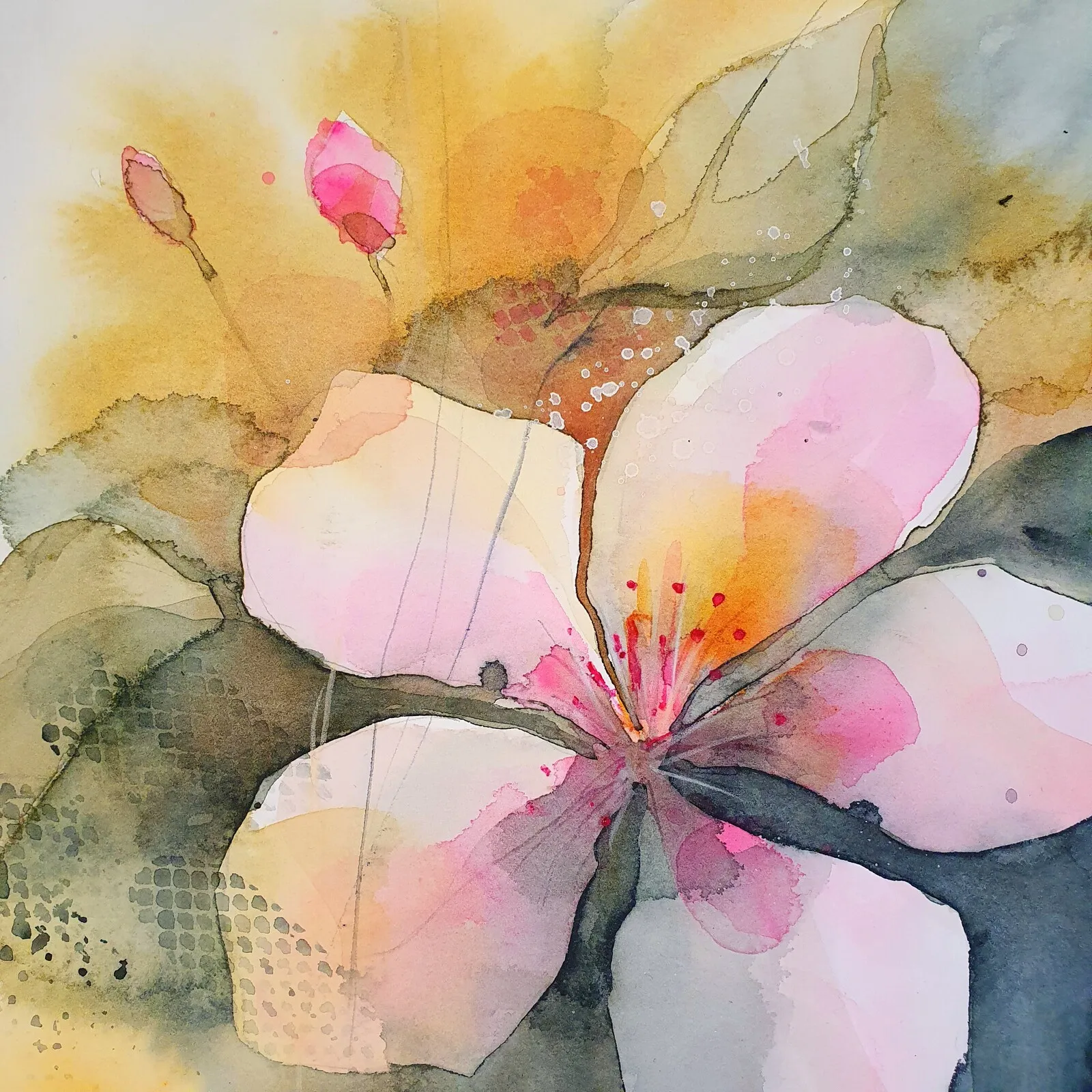 Akvarell Äppelblomster II av Jenny Övrebö