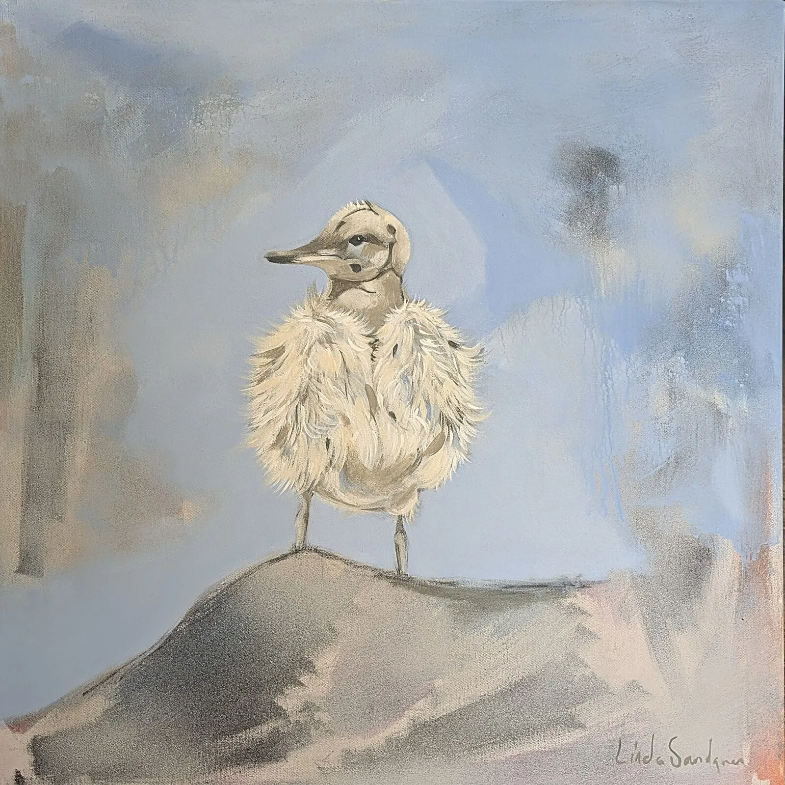 Beginnings av Linda Sandgren