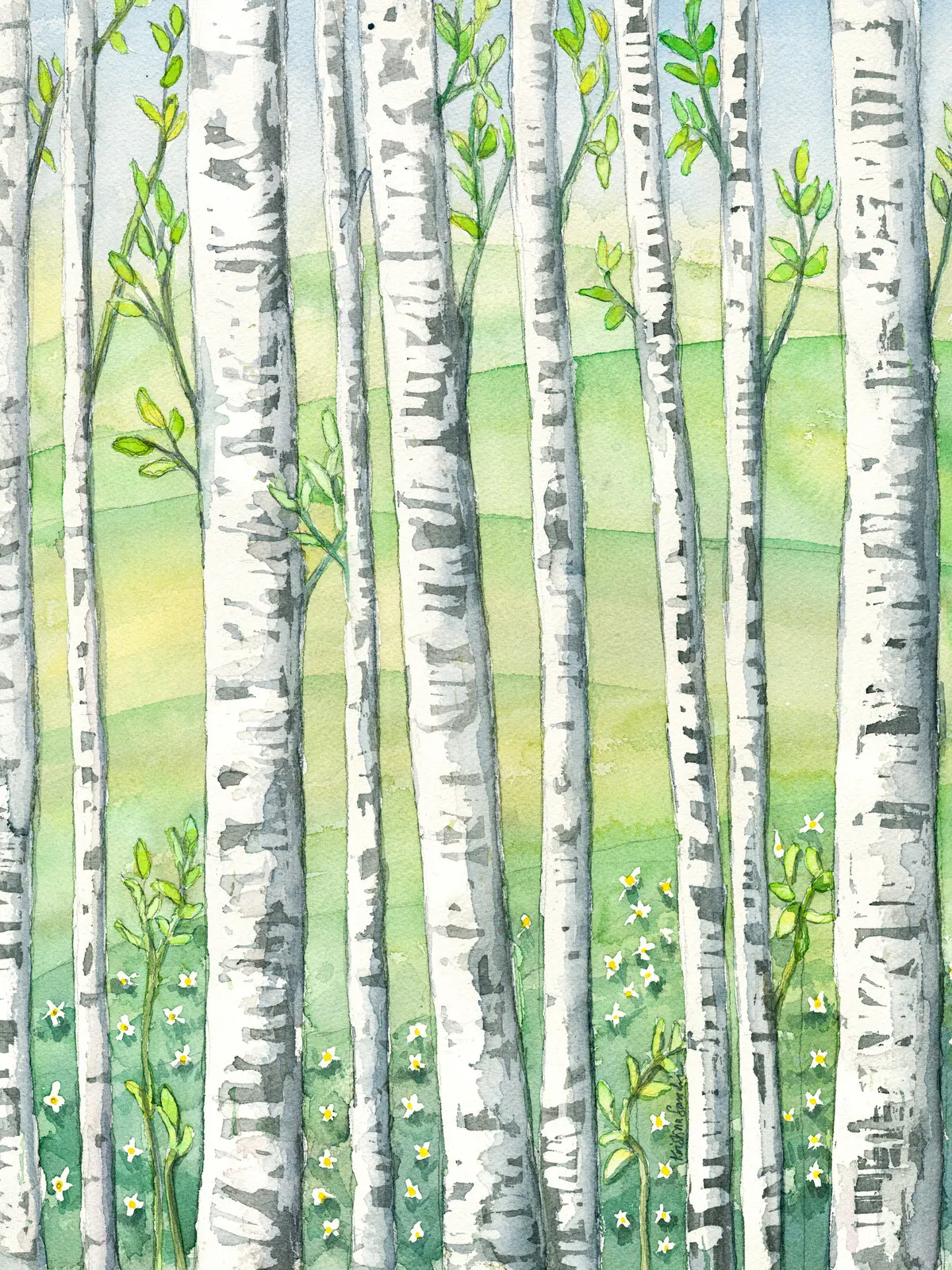 Akvarell Björkar vår av Kristina Sandin