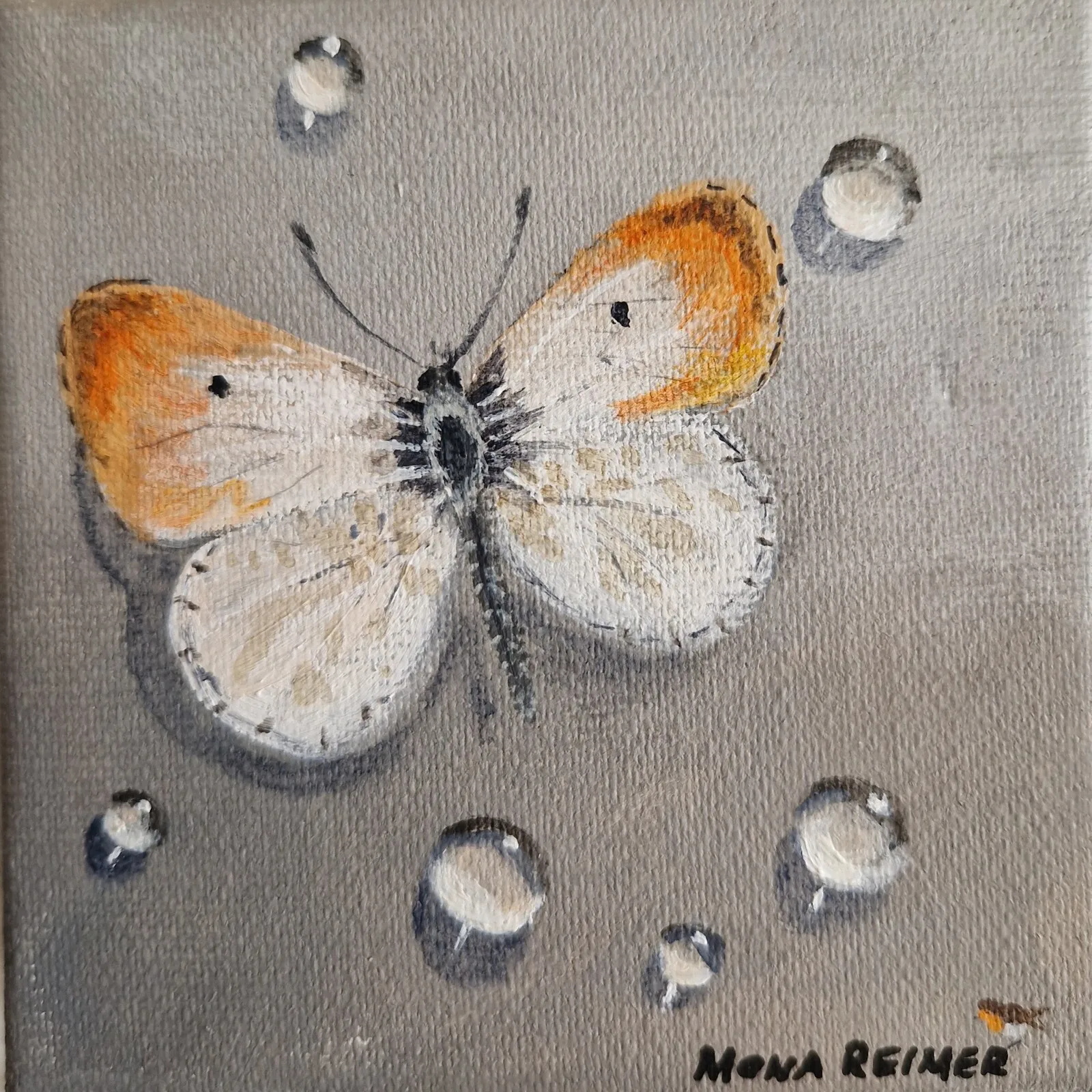 Akrylmålning Aurorafjärilen av Mona Reimer