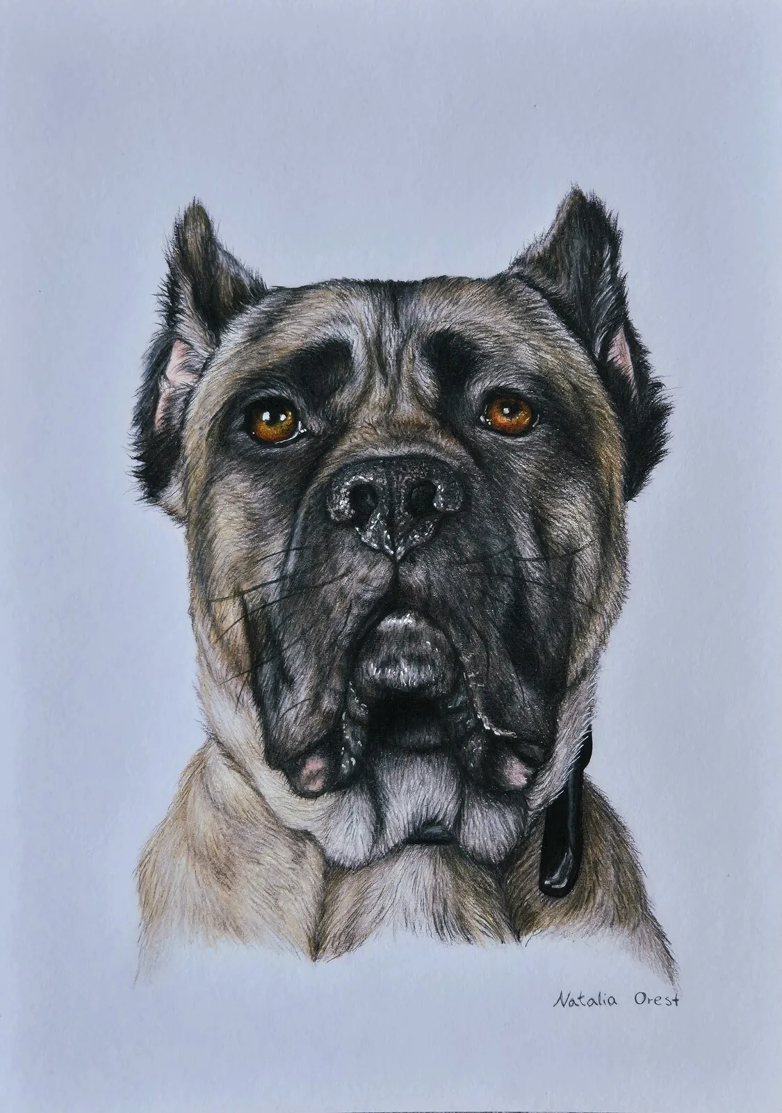 Portrait examples, media besides graphite av Natalia Orest