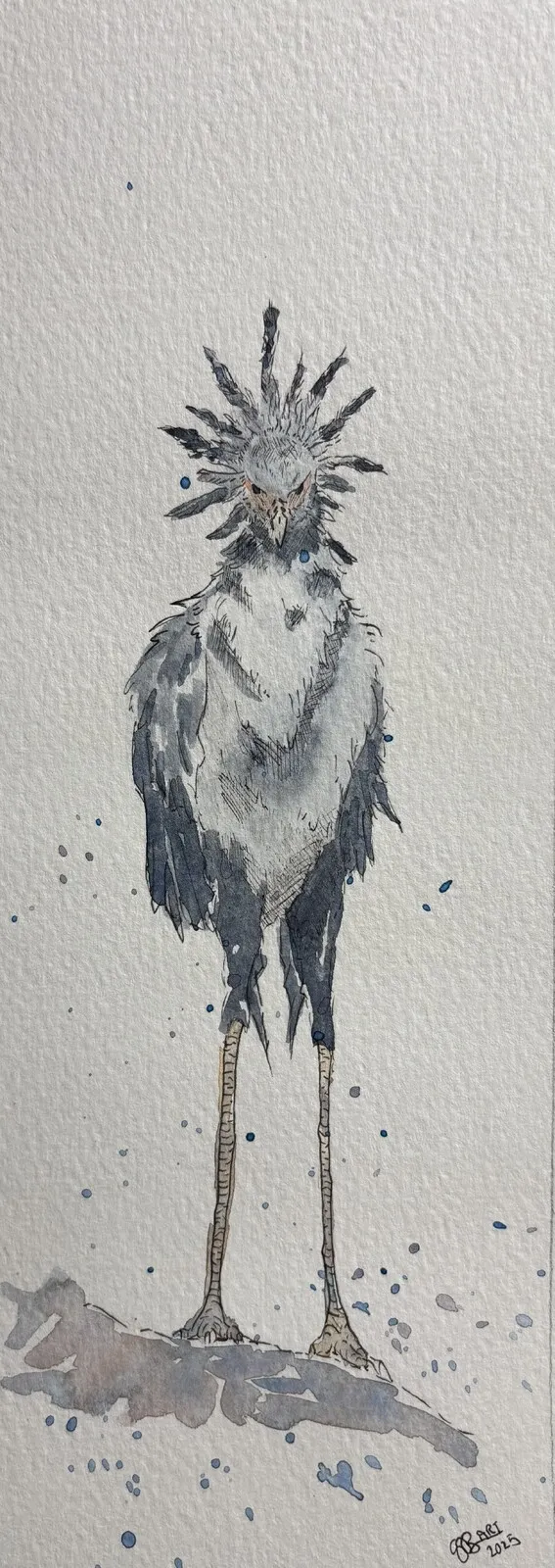 Akvarell Bosse från Vetlanda av Sandra Bengtsson