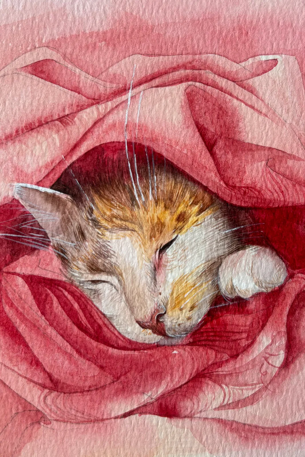 Akvarell Sovande Katt av Mikka Kotovich