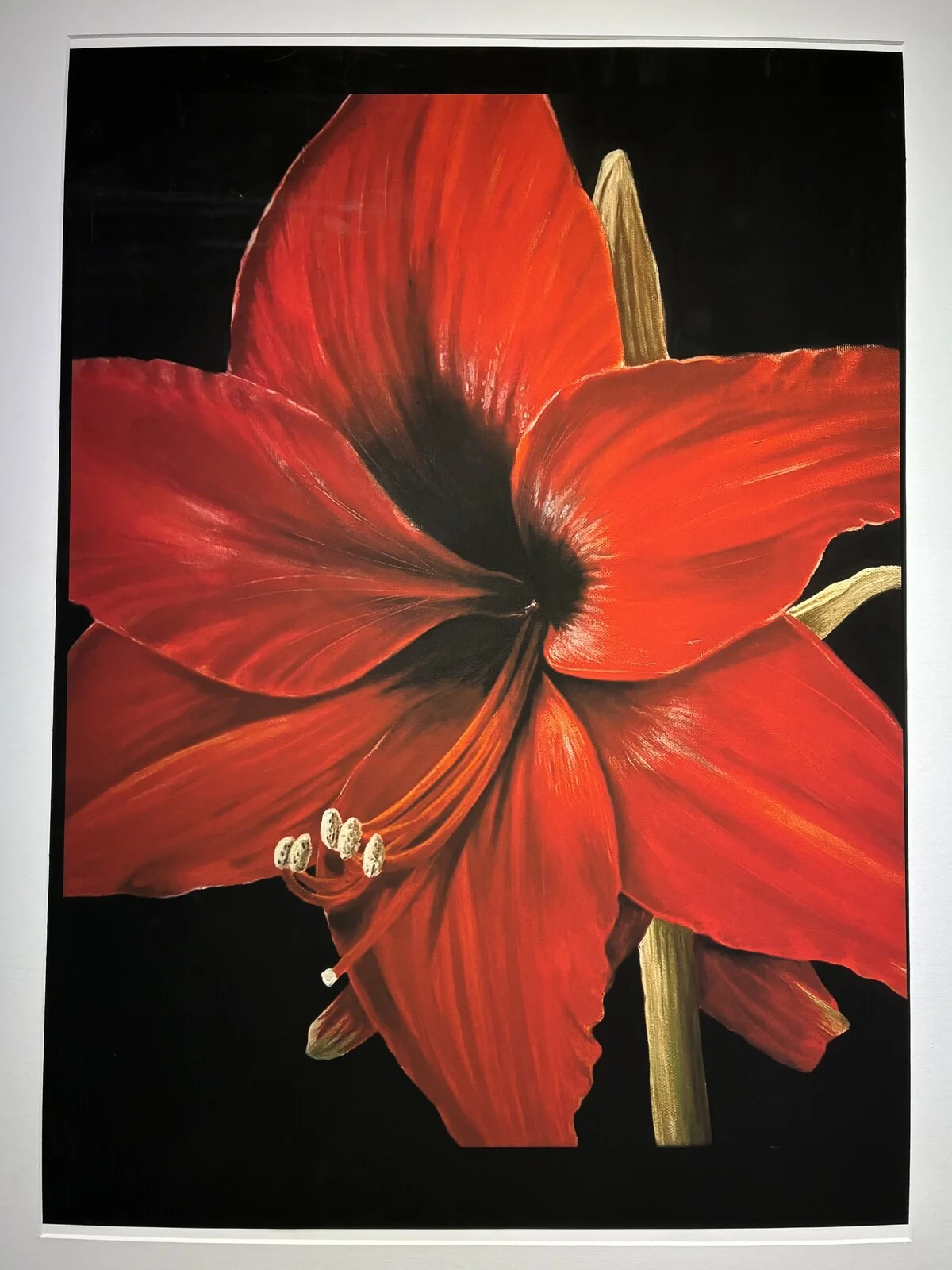 Oljemålning Amaryllis poster av Ewah Holmberg
