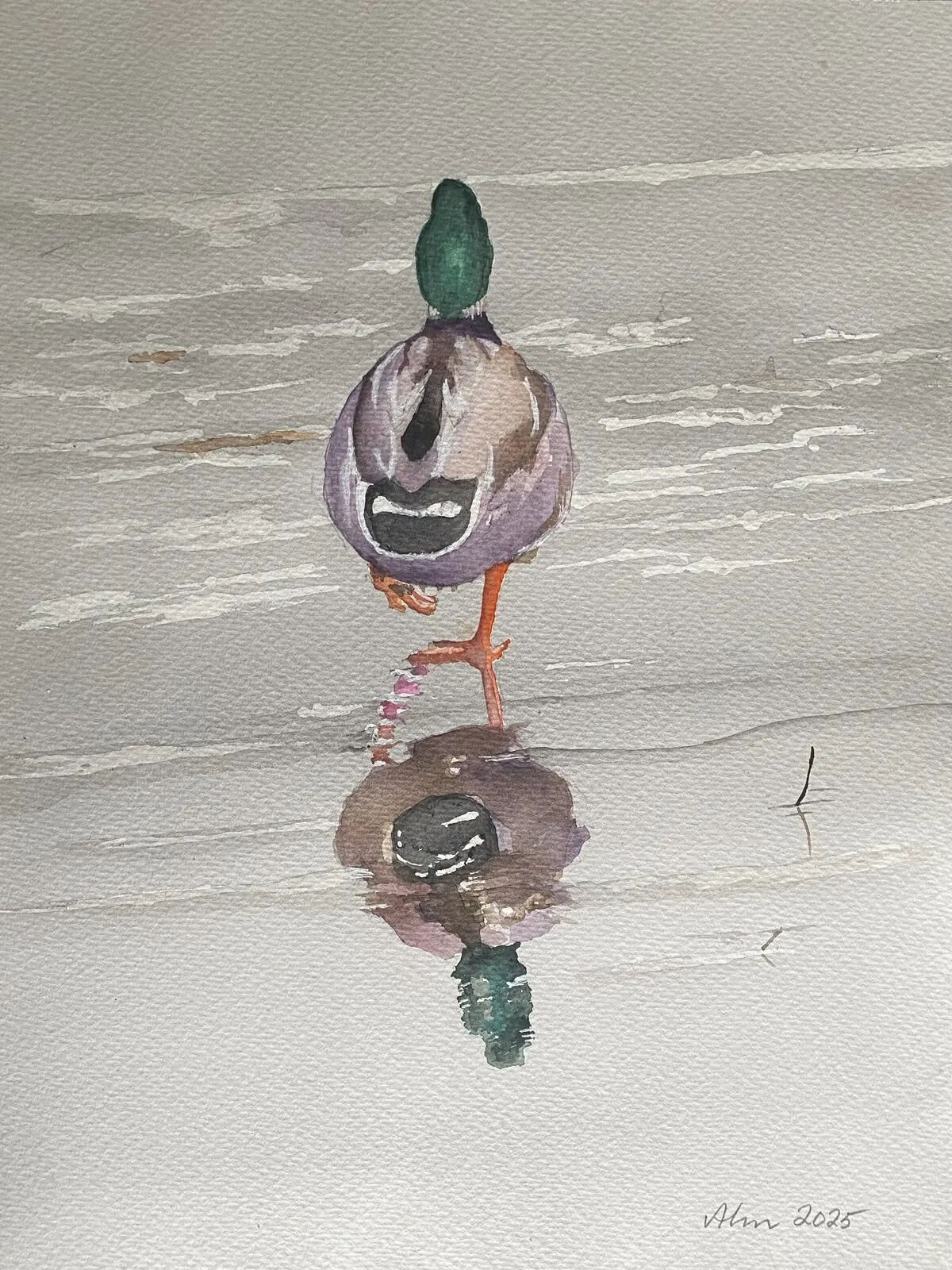 Akvarell Pappa and av Göran von Ahn