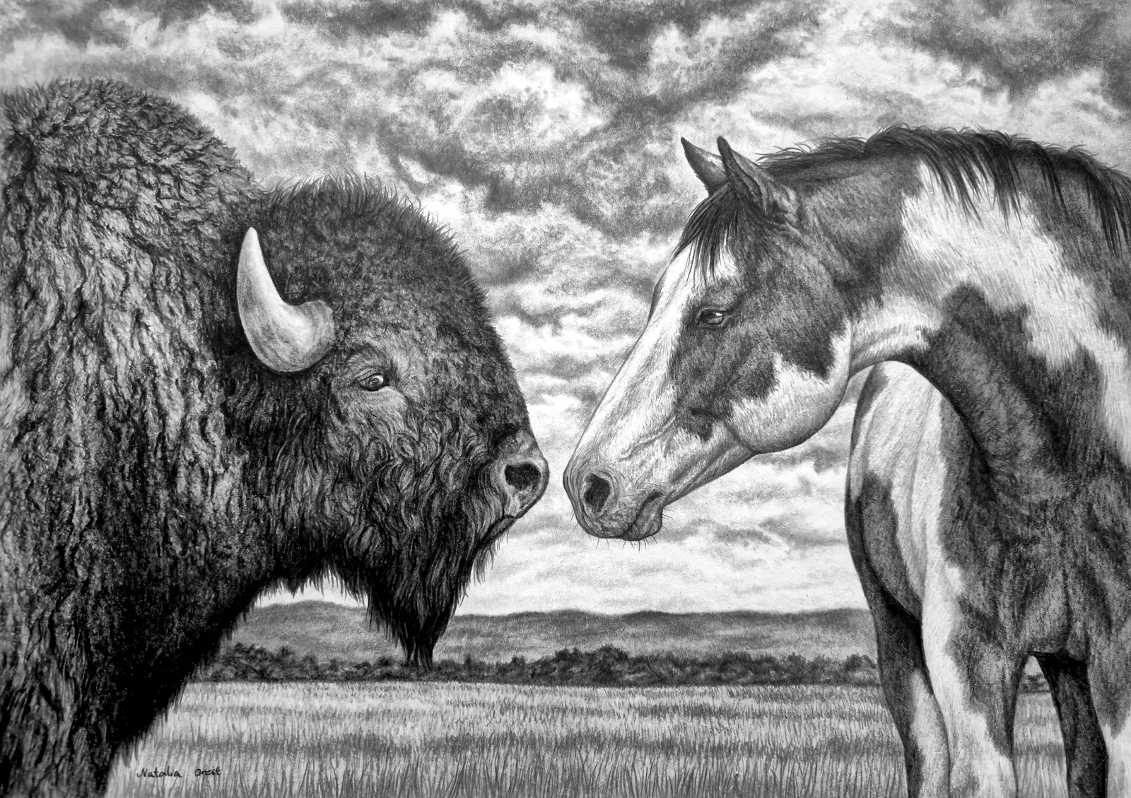 Survivors av Natalia Orest