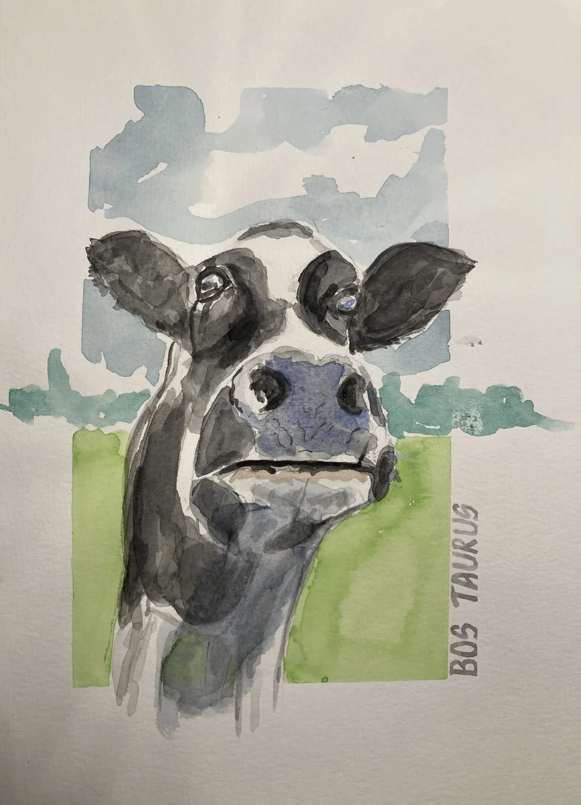 Akvarell Kalv av Conny Johansson