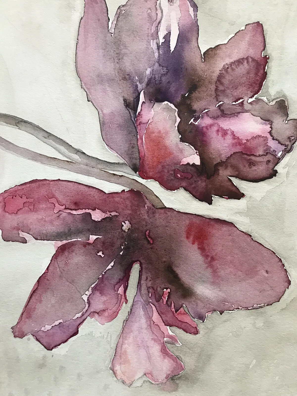 Akvarell Flower av Filippa Eneroth