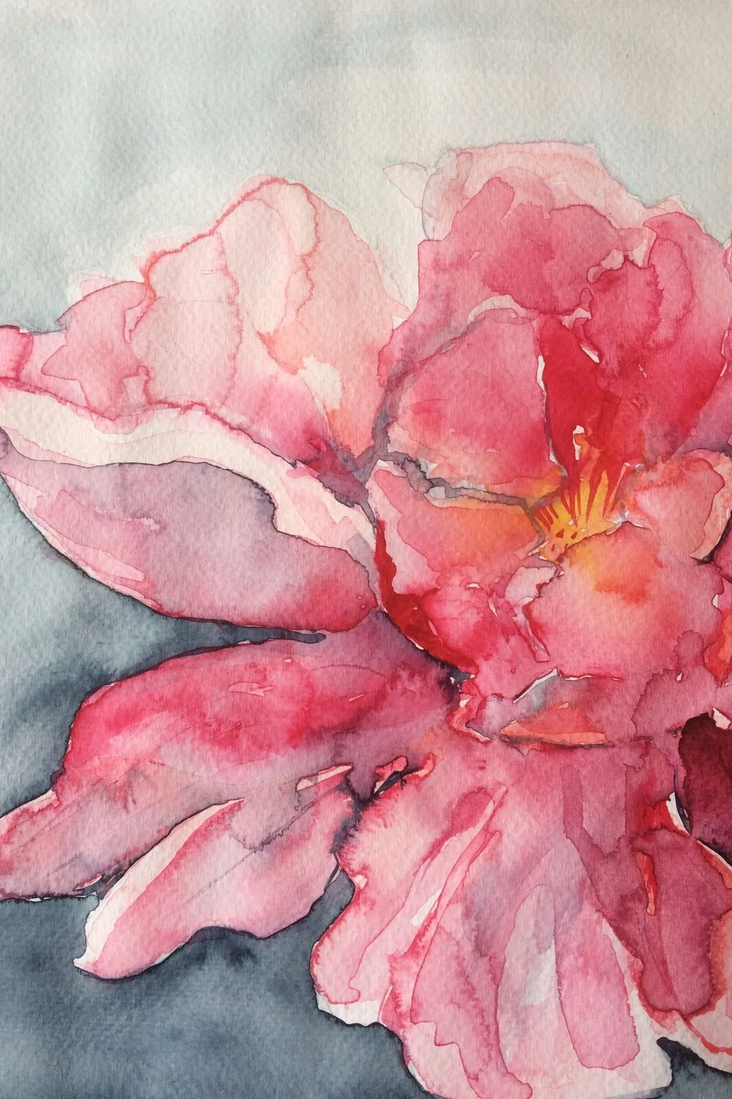 Akvarell Rose av Filippa Eneroth