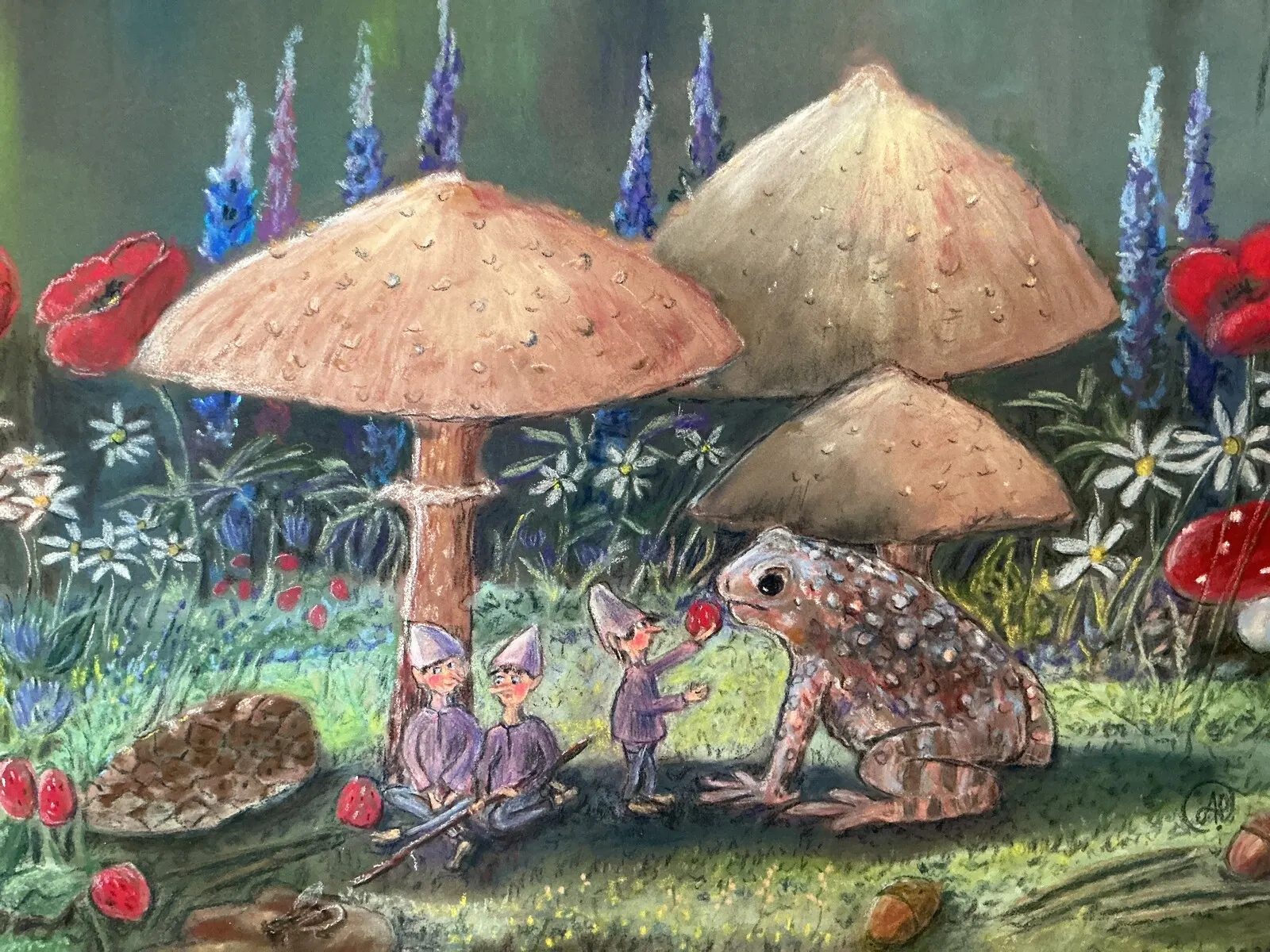 Tomtar och paddan av Anette Peltola