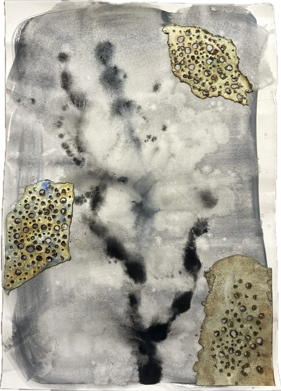 Ryggrad av Rebeca Arwlén