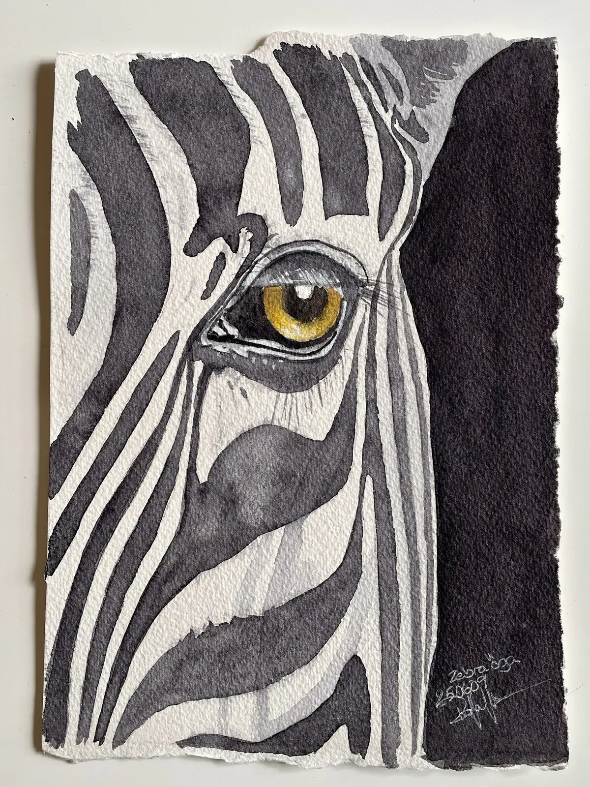 Akvarell Zebra Öga av Pär Håkan Henriksson