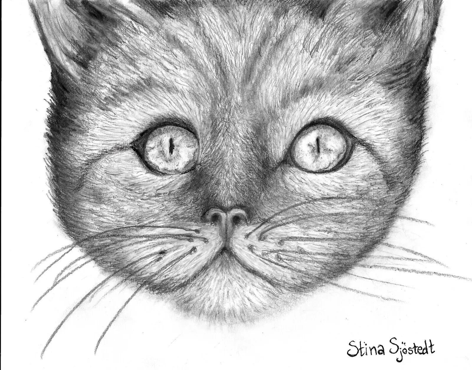 Jakobs katt av Stina Sjöstedt