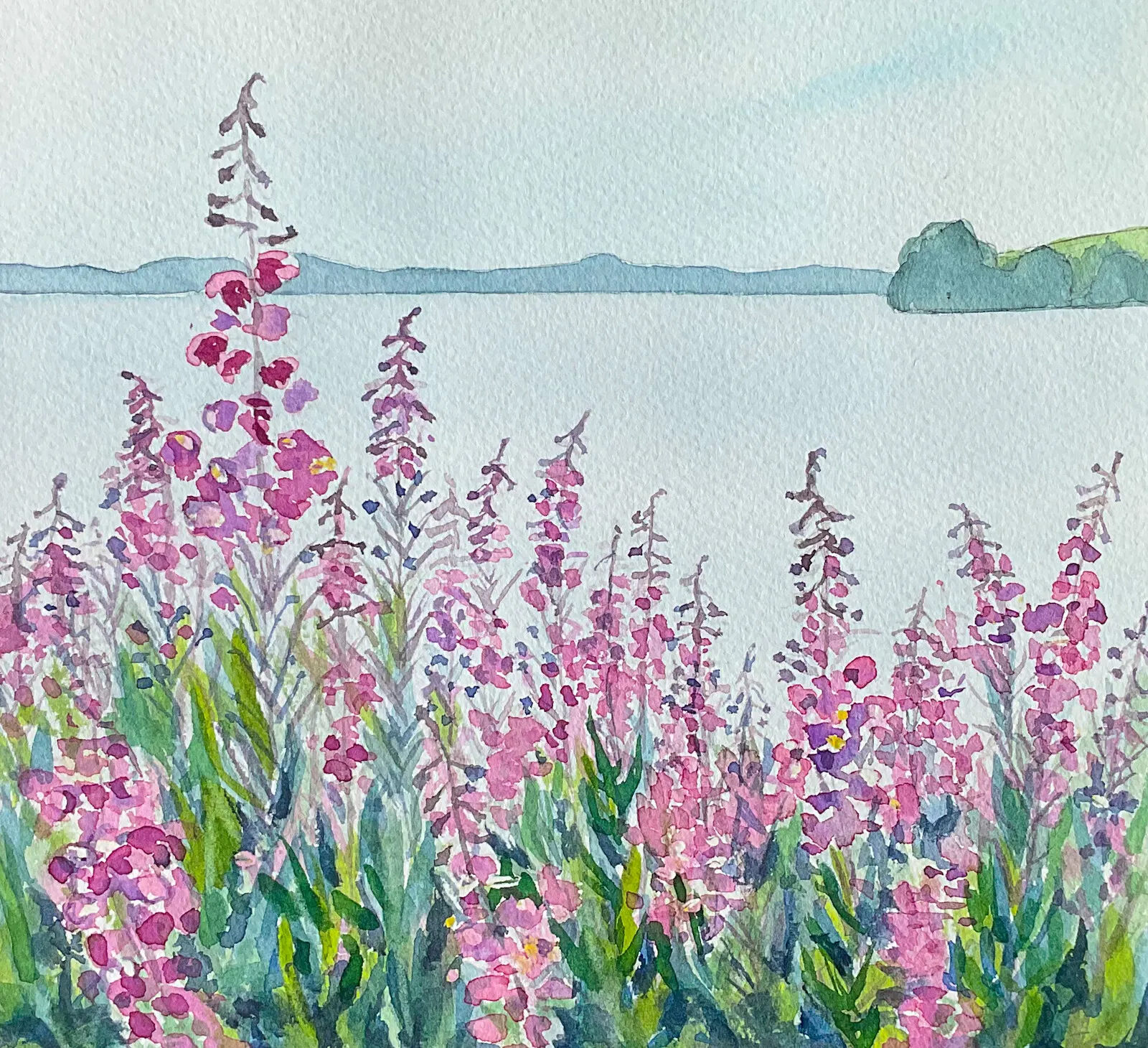 Akvarell Blommor vid Flåsjön av Anna Sundkvist / @veras_akvareller