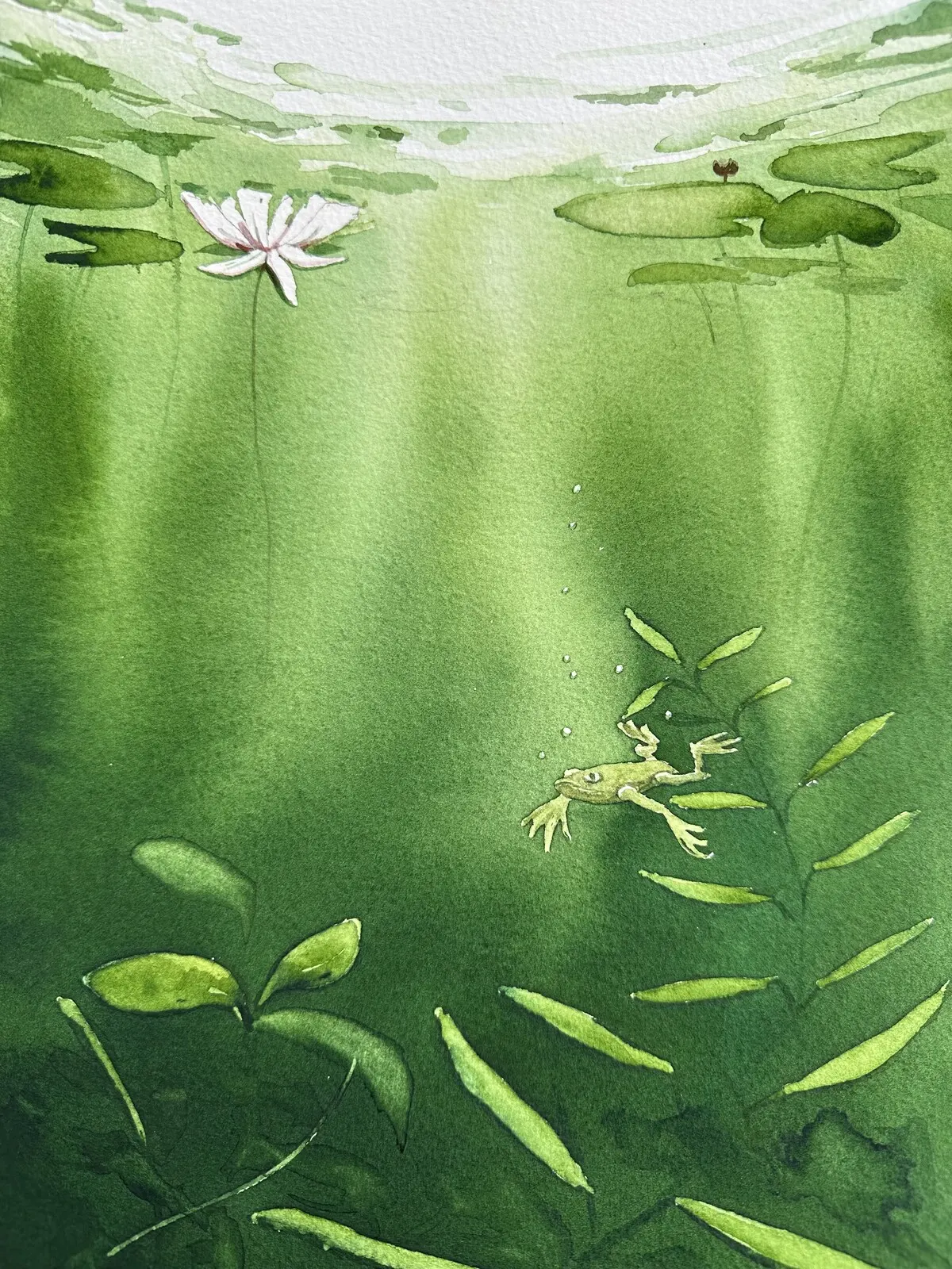 Akvarell UNDER YTAN - STILLHET av Katarina Thomassen